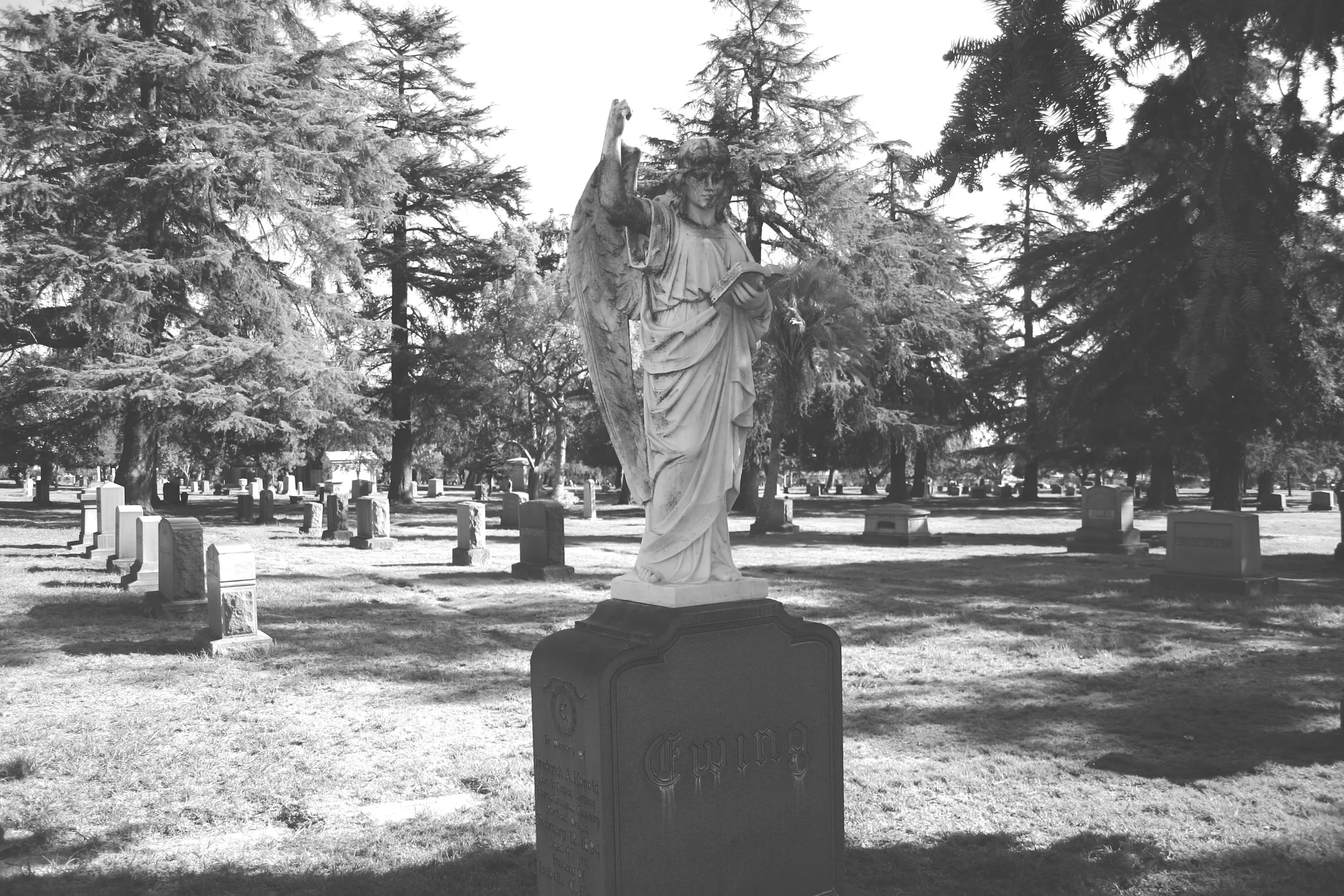 A Night Among the Monuments: Mountain View Cemetery Tour 
