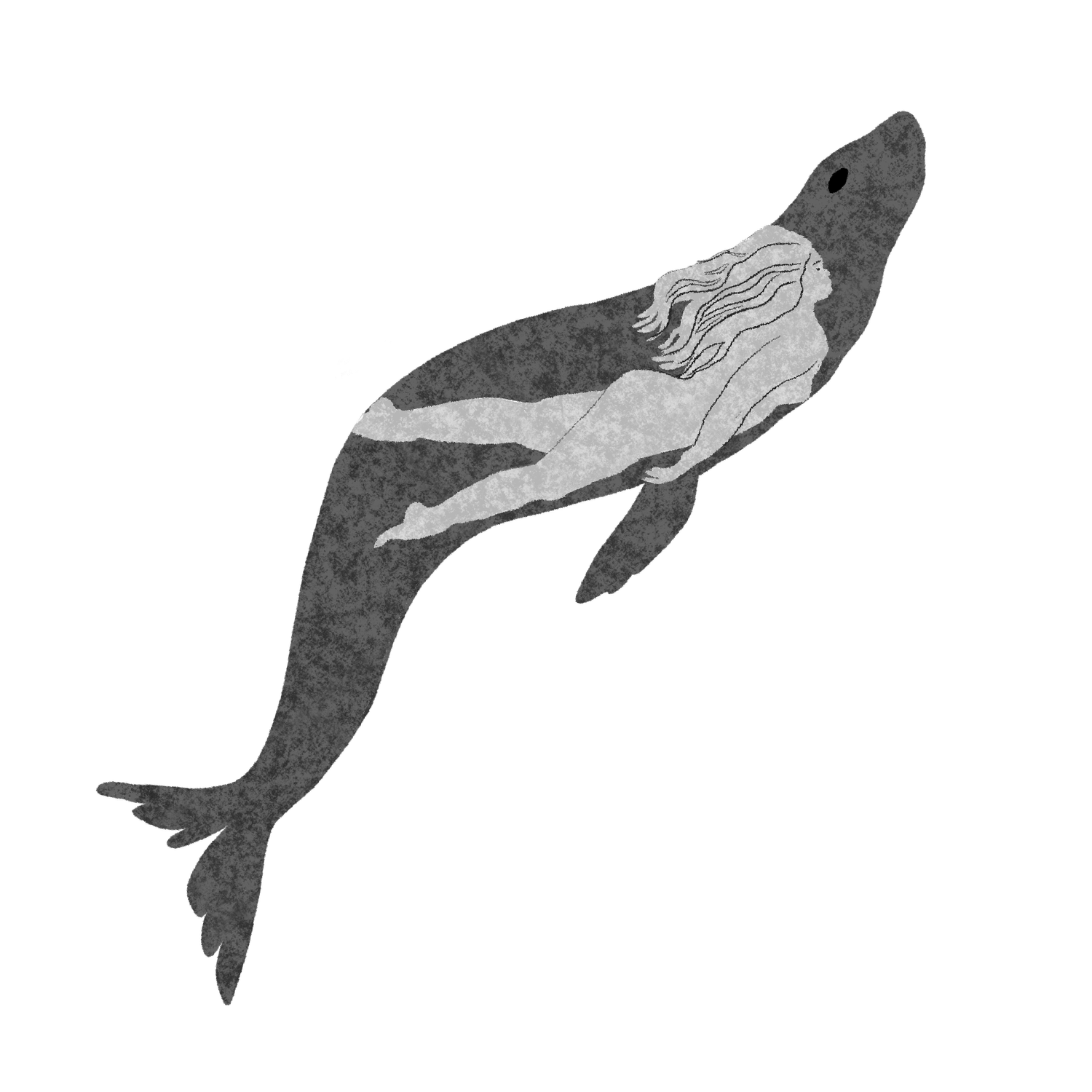 seal folk