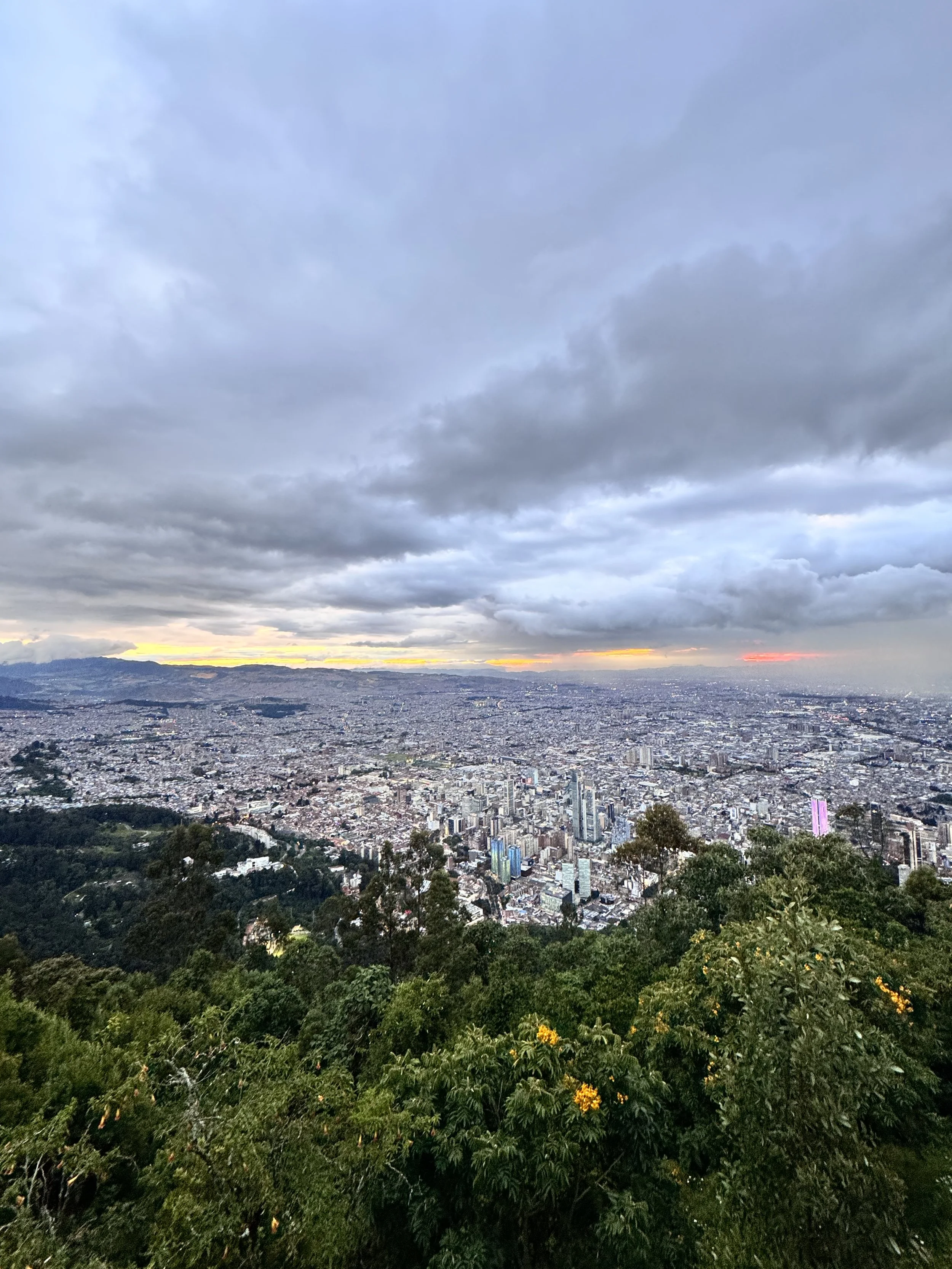 A panoramic view of a cityscape from a high vantage point with a cloudy sky and some sunset light in the distance. There are buildings, skyscrapers, and green trees in the foreground.