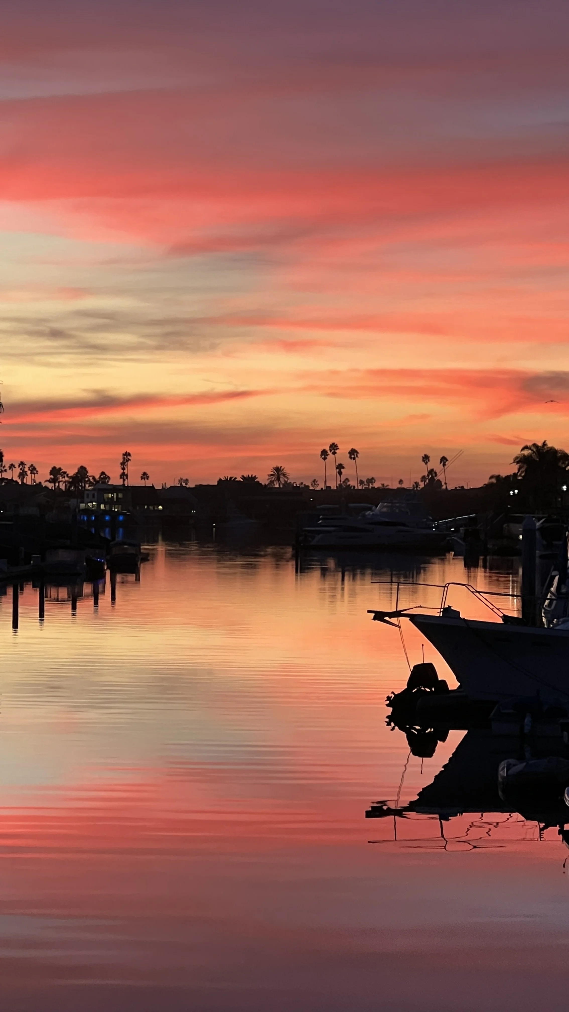Calm water at sunset reflecting colorful pink, purple, and orange clouds with boats and palm trees in the background.