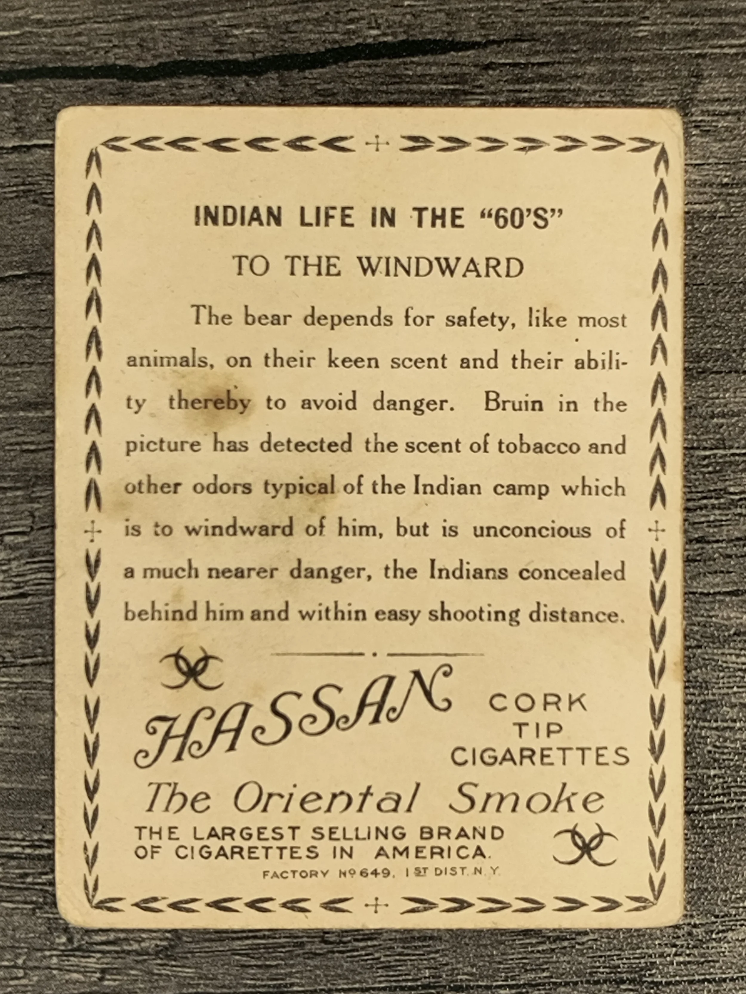 218660b.jpg