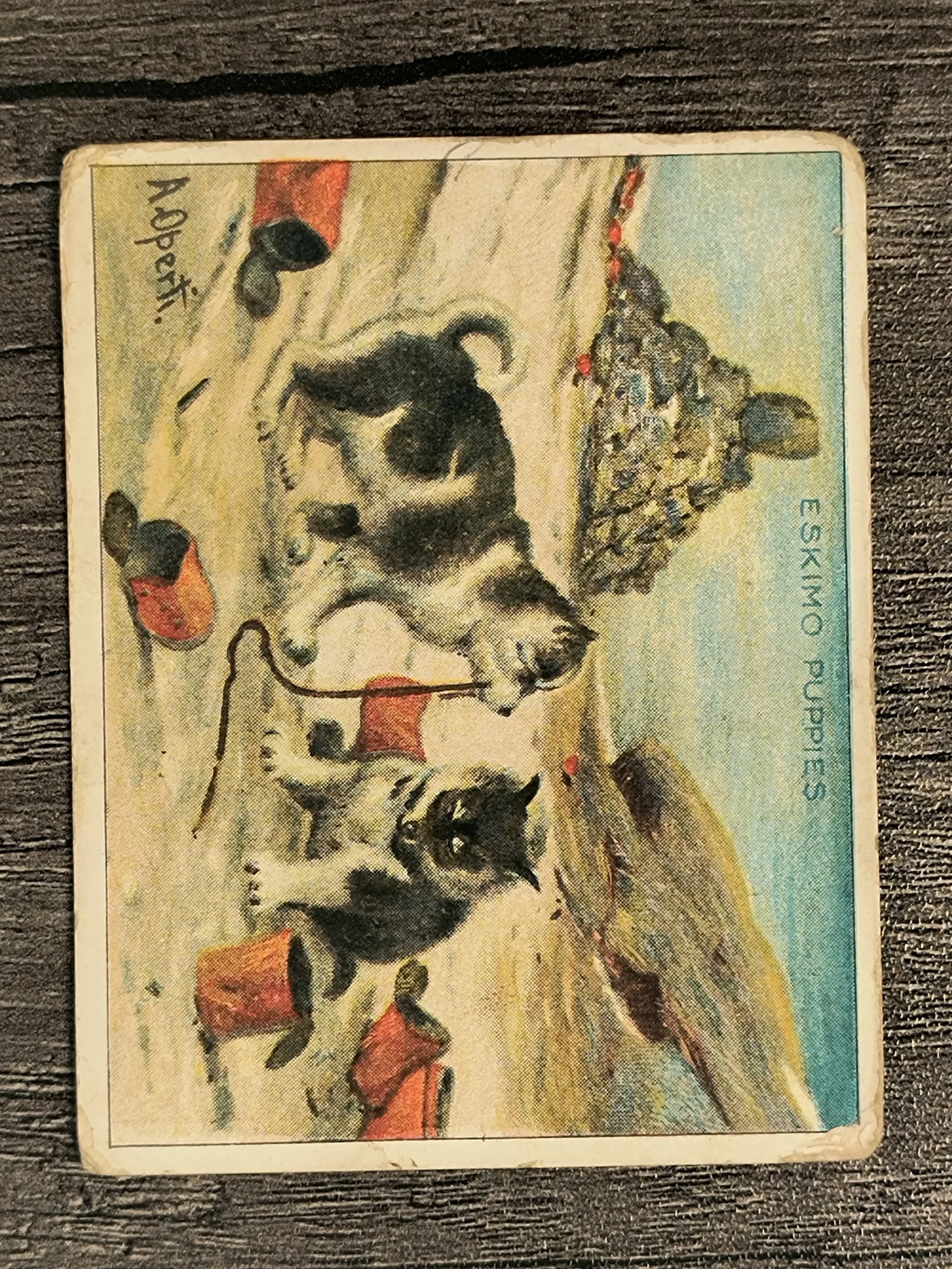 218671f.jpg