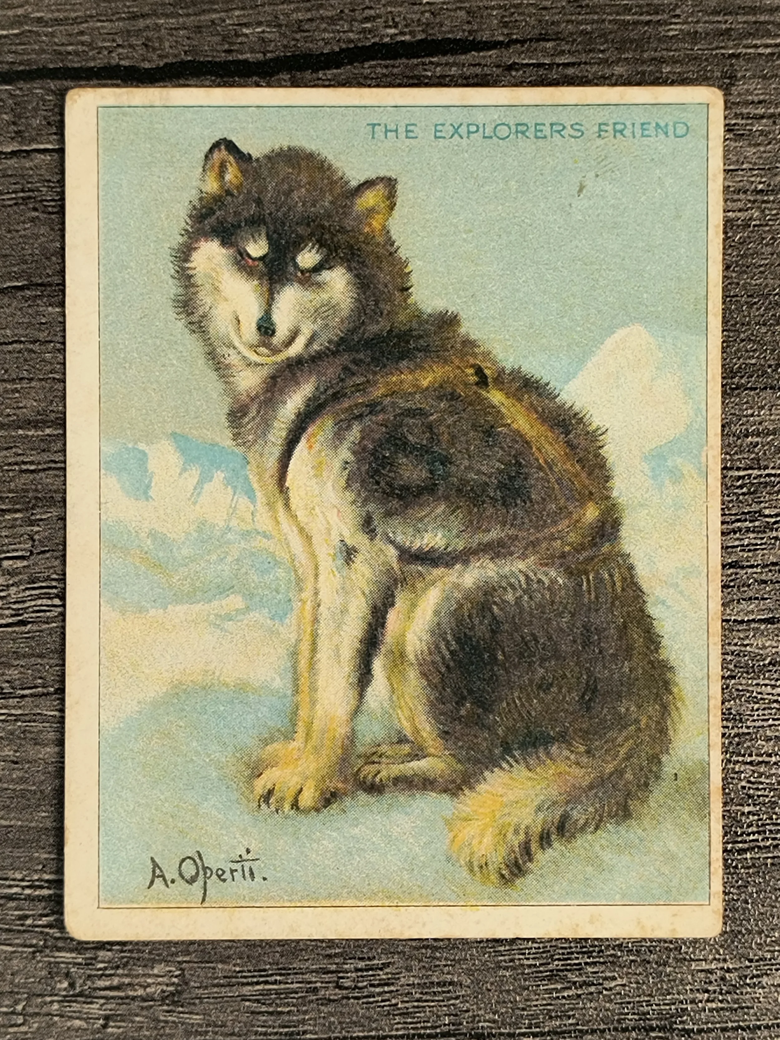 218673f.jpg