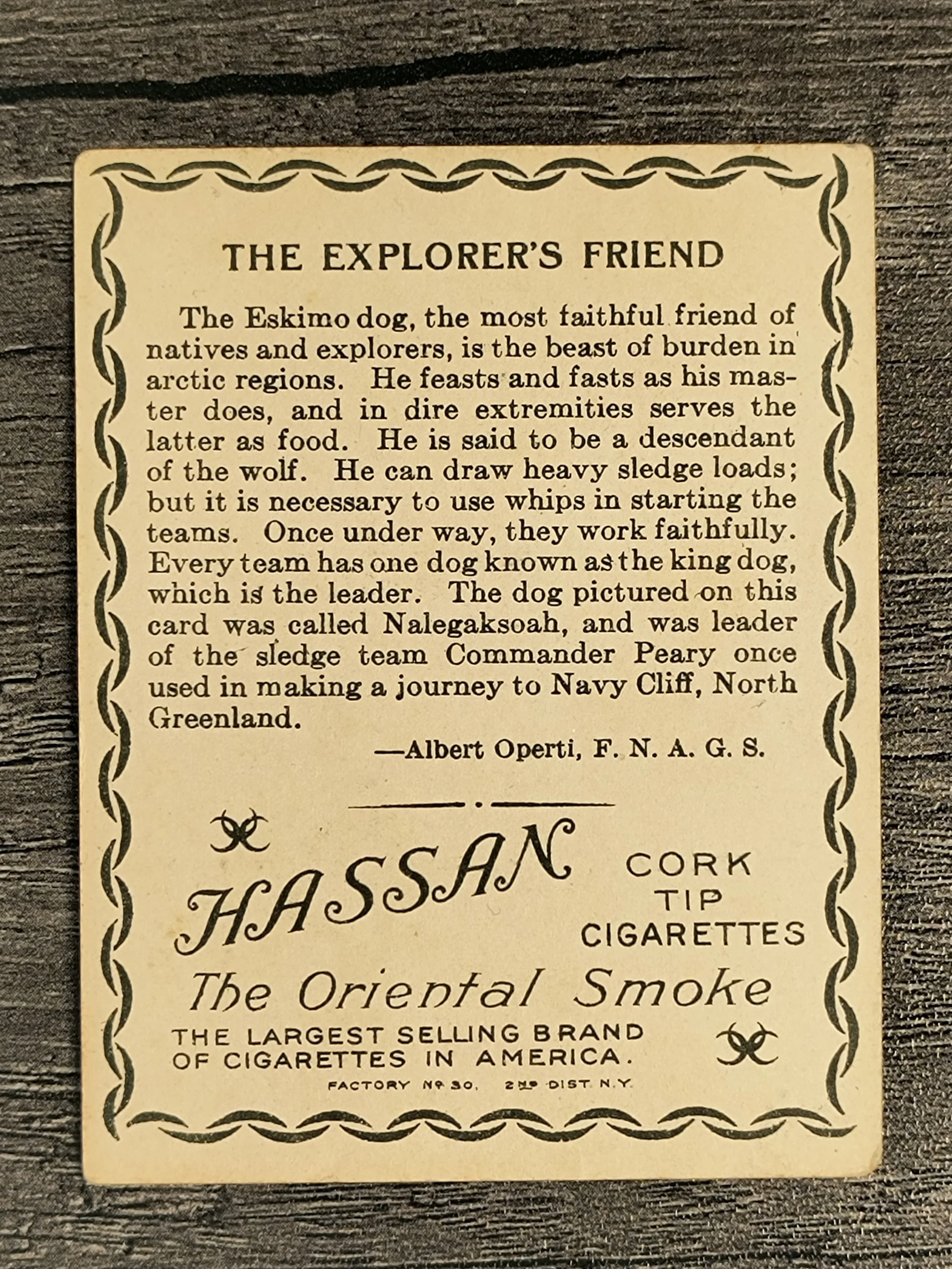 218673b.jpg