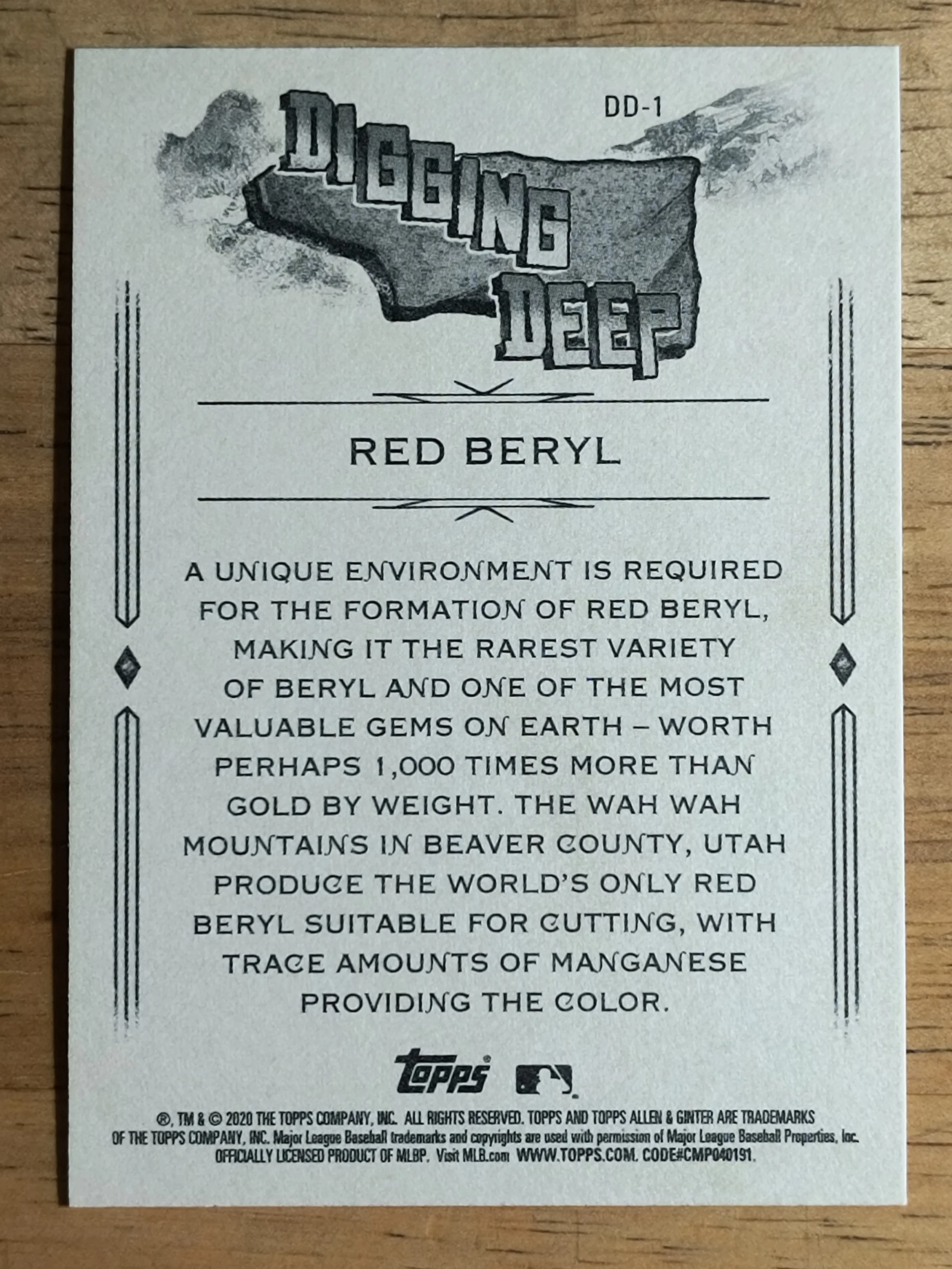 31254b.jpg