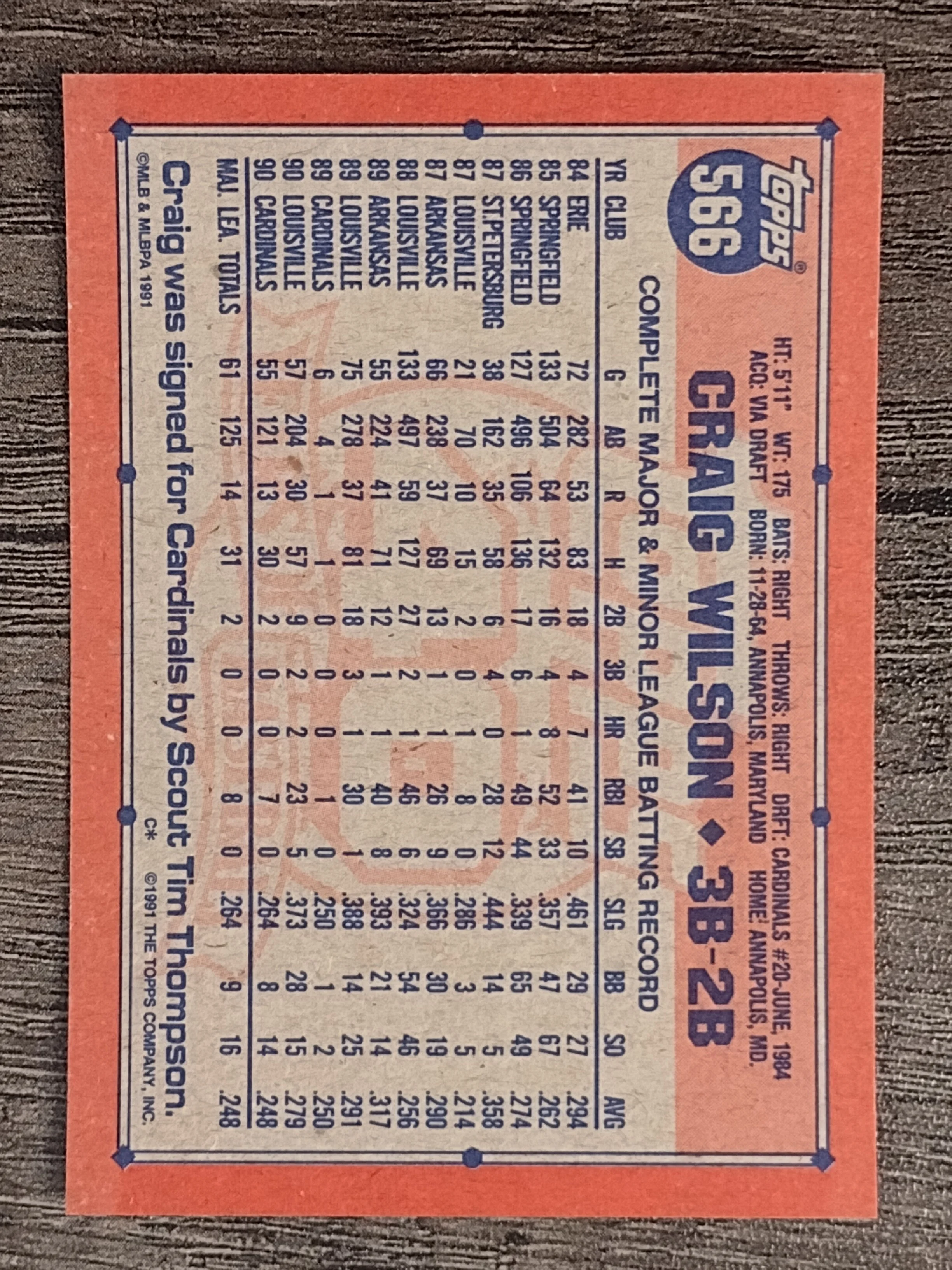 46909b.jpg