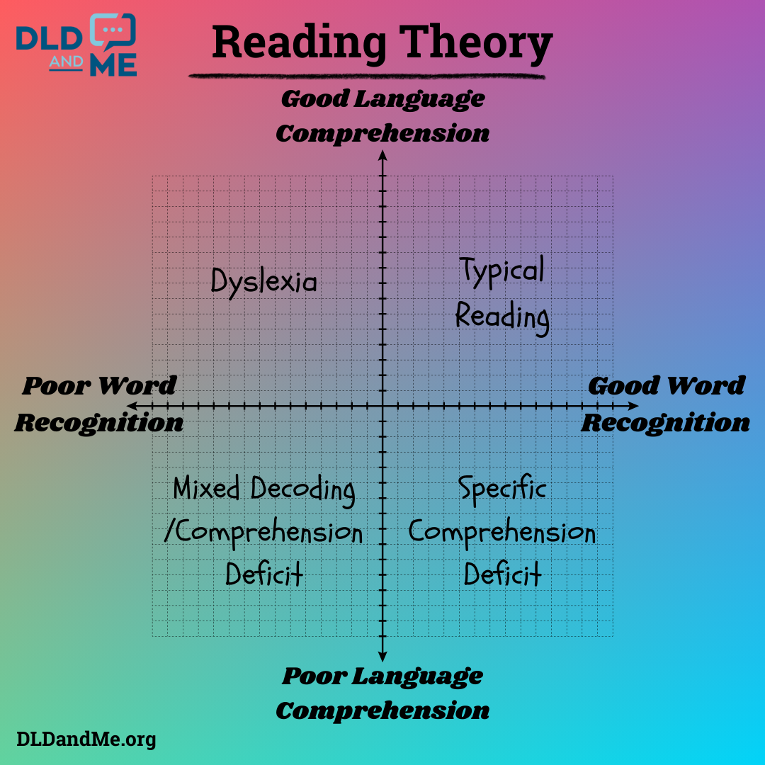 DLD in Schools: An Insider's Perspective