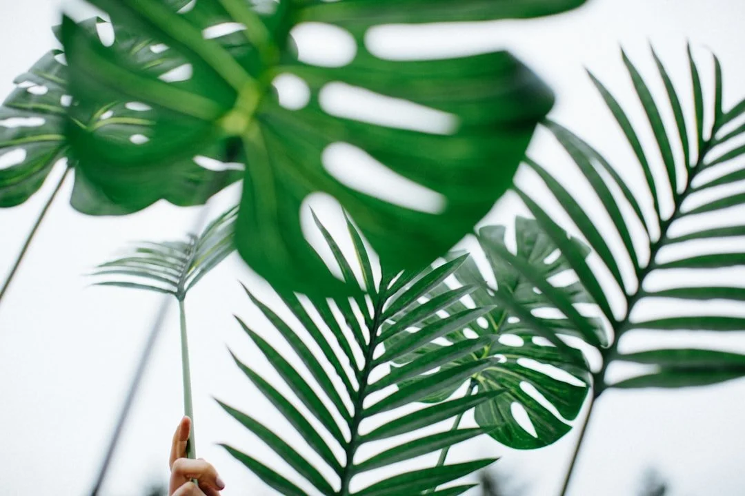 When It’s Not What You Expect