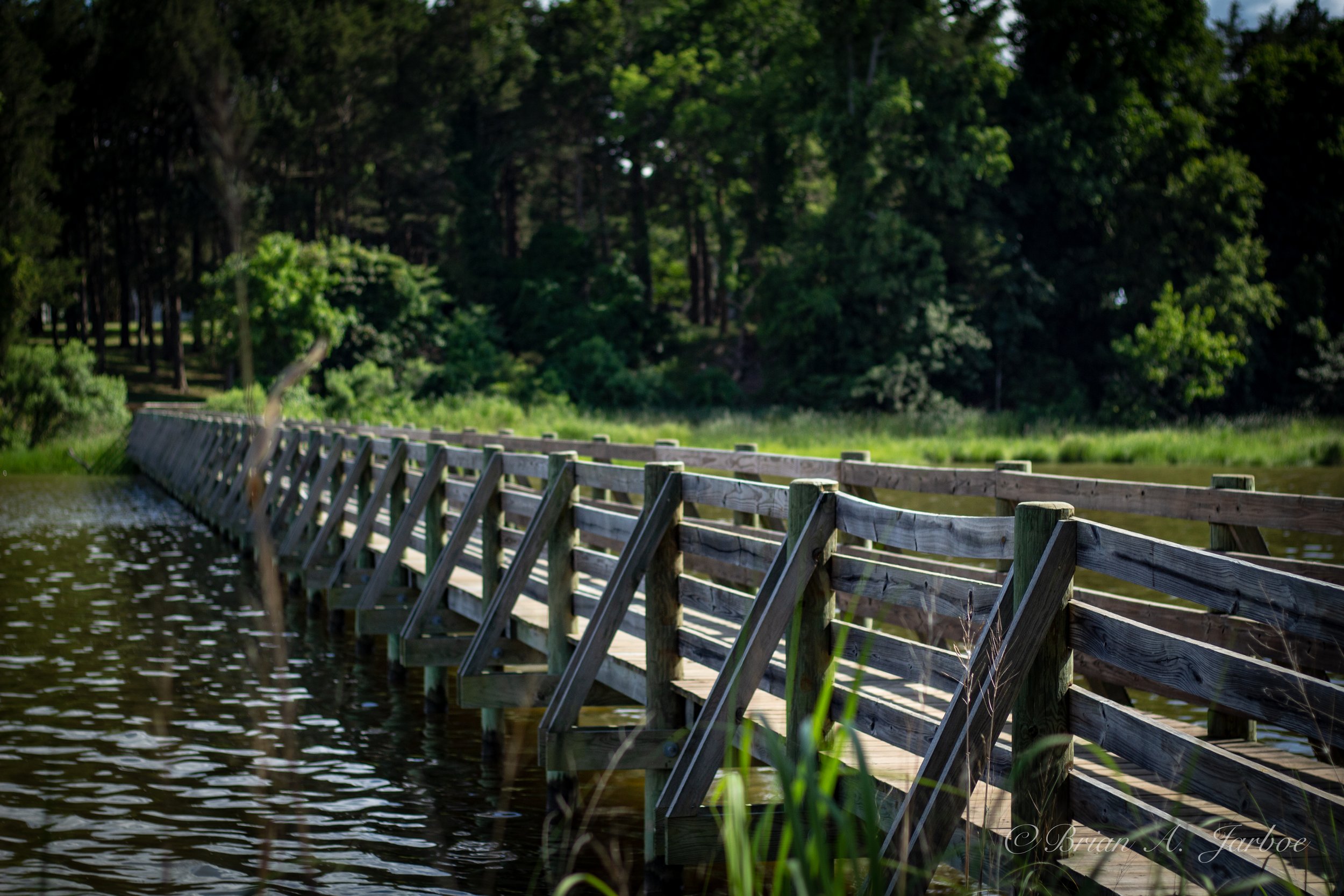 Bridge To Peace