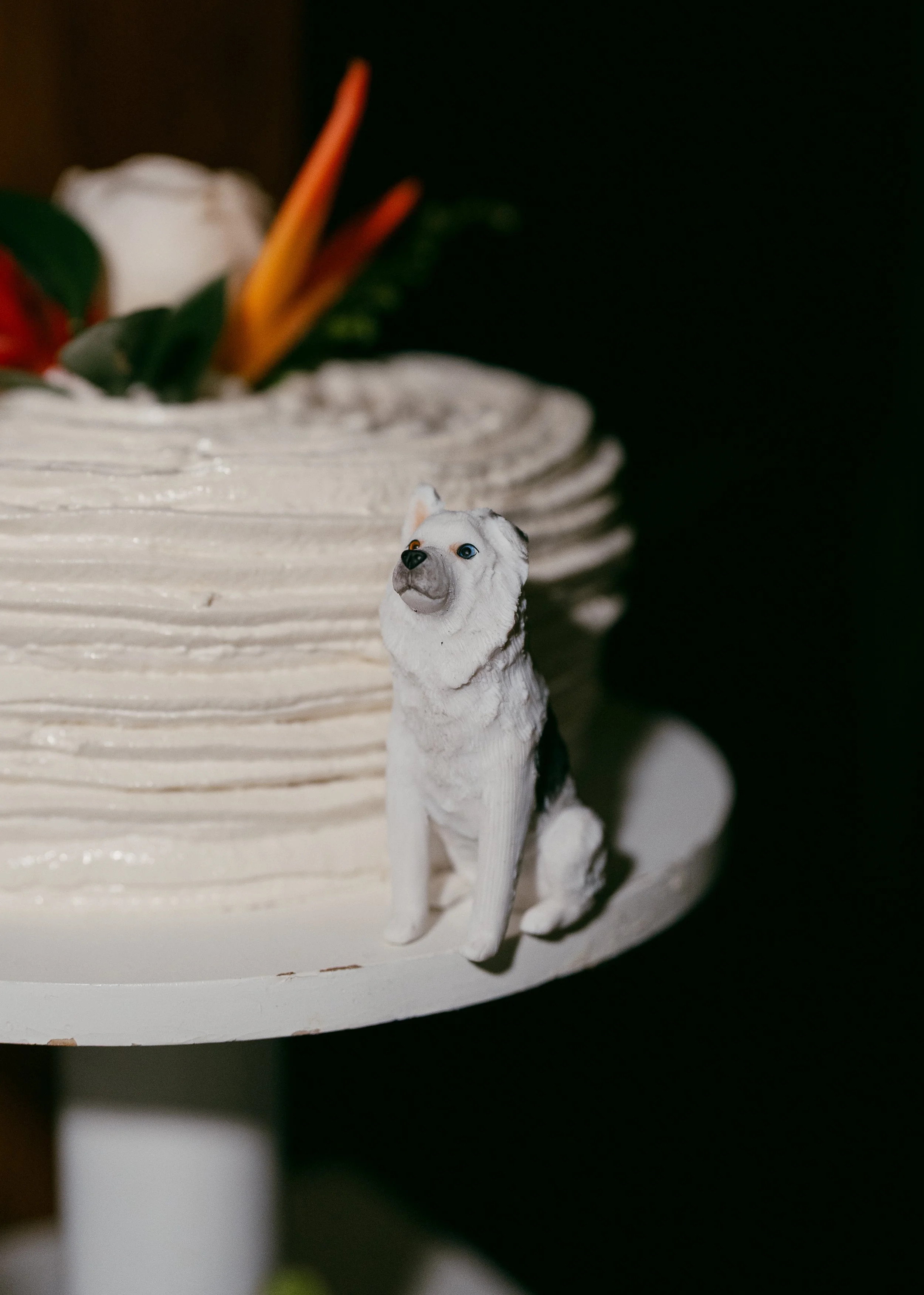 Cala Luna Tamarindo Langosta Guanacaste Destination Wedding 