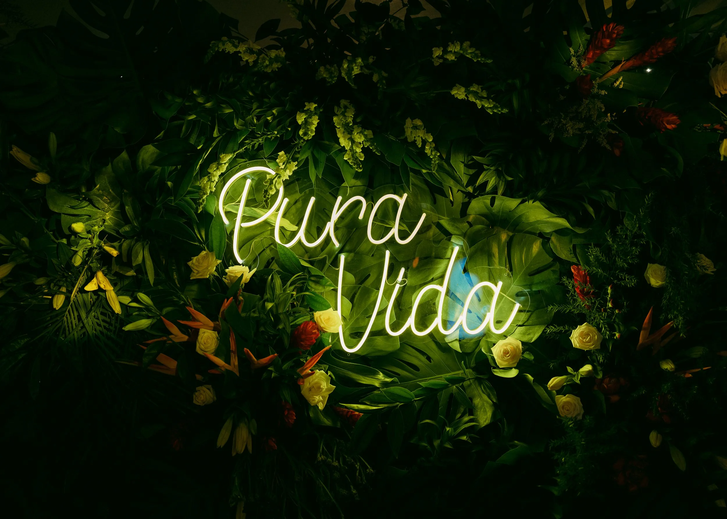 Cala Luna Tamarindo Langosta Guanacaste Destination Wedding 