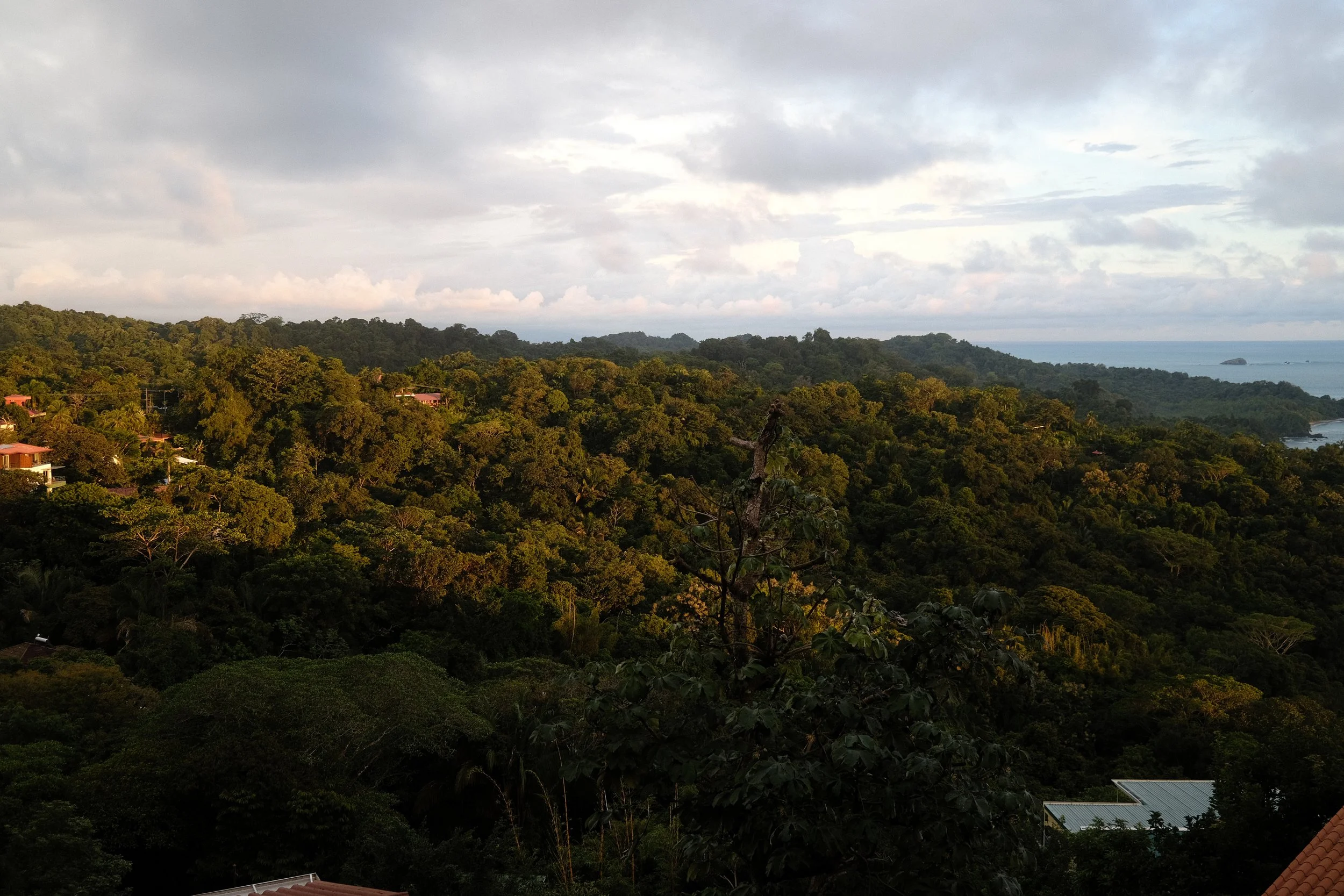 Manuel Antonio Destination Wedding 