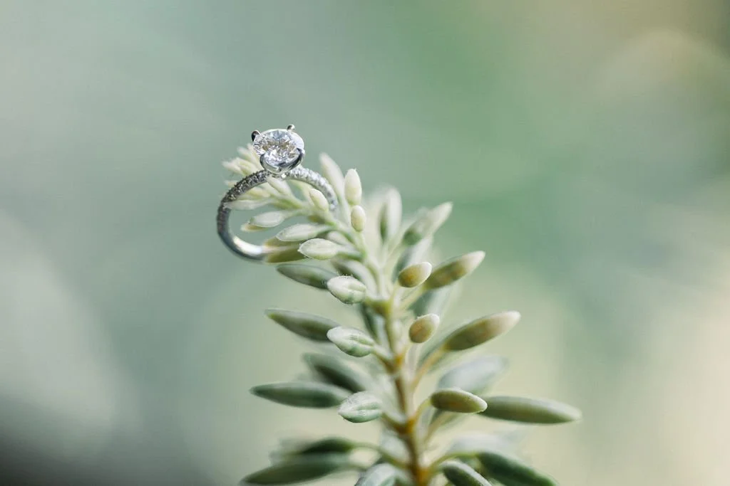 Grace&Mark-103248.jpg