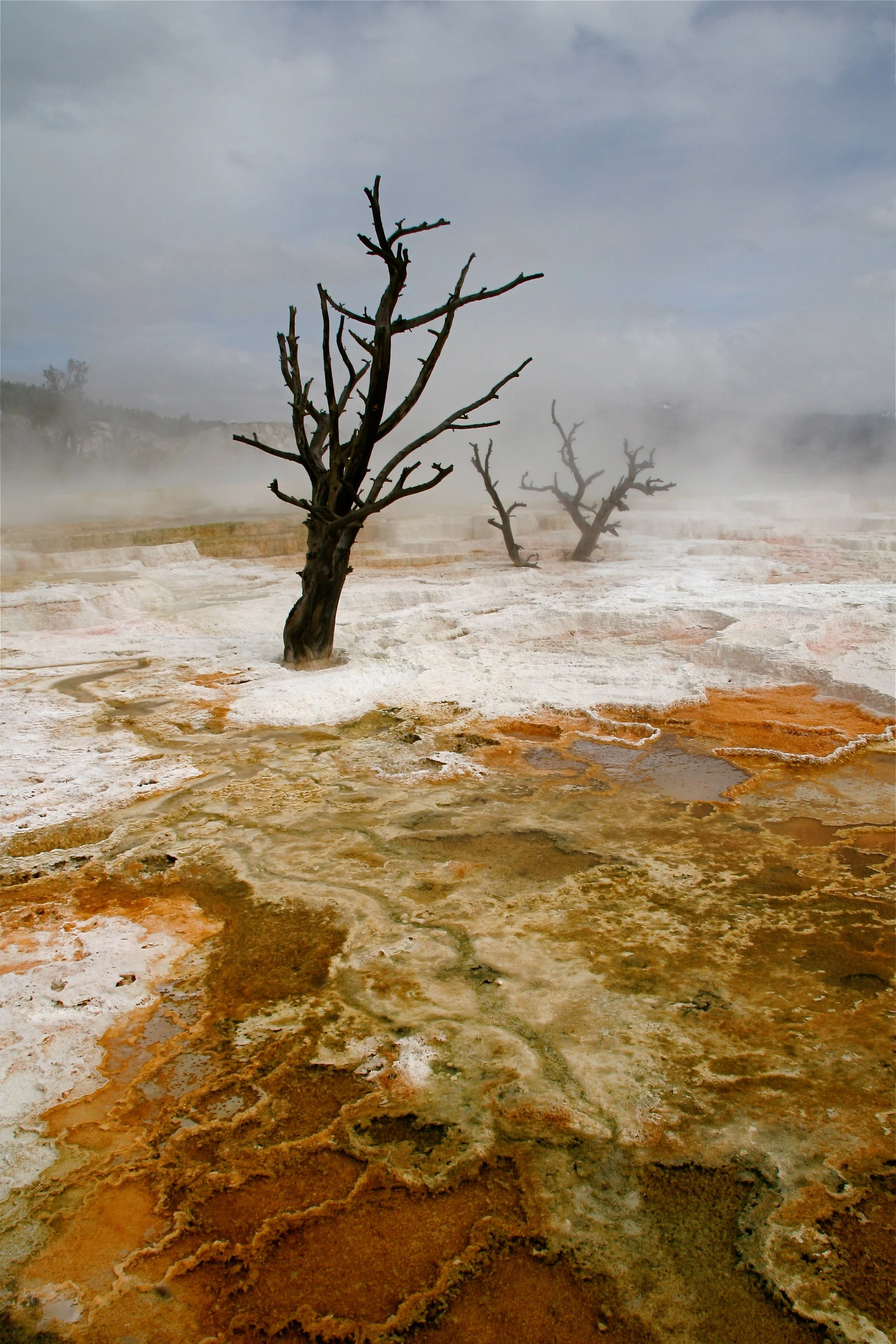 USA Road Trip-11.jpg