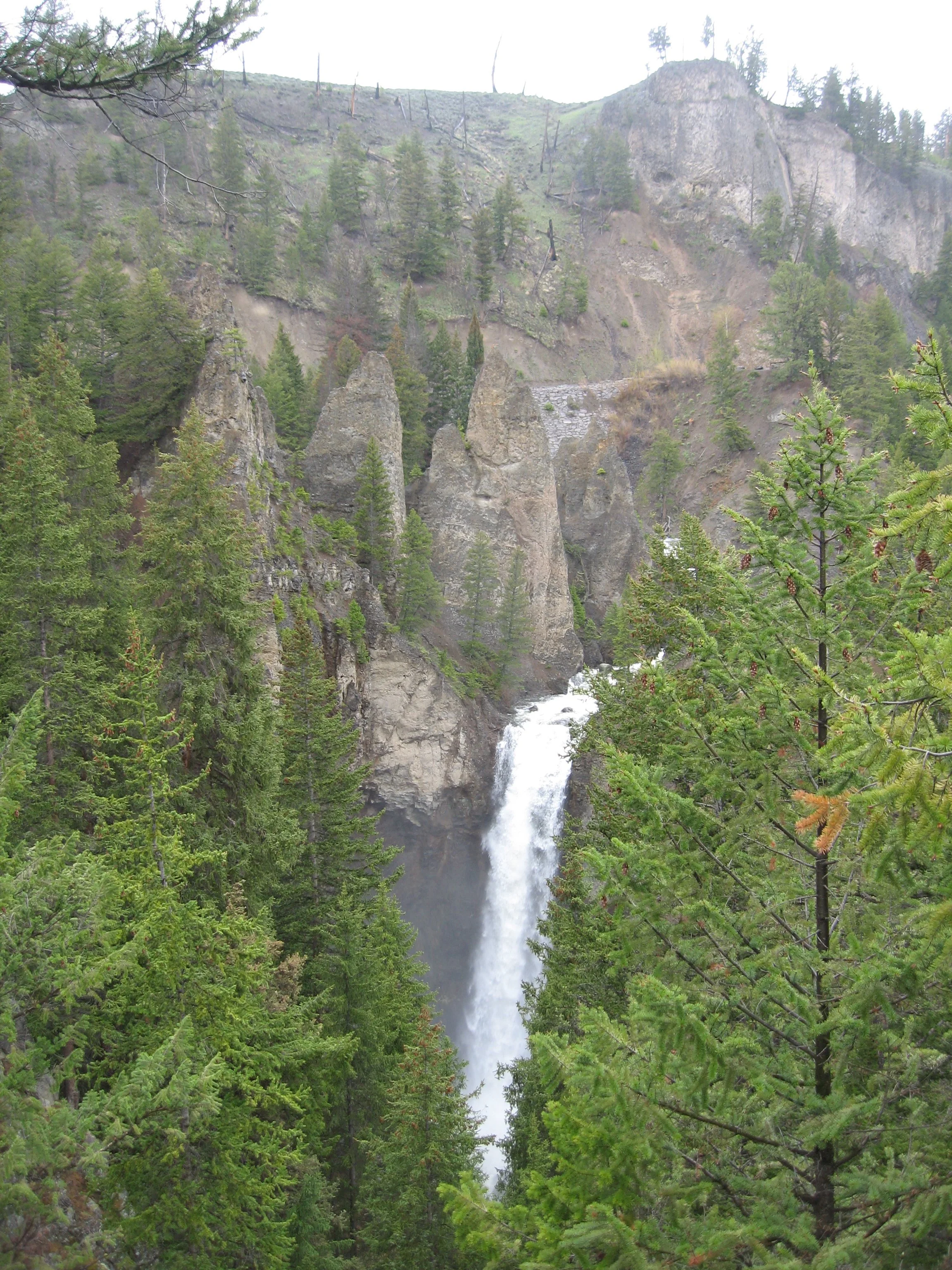 IMG_6995.JPG