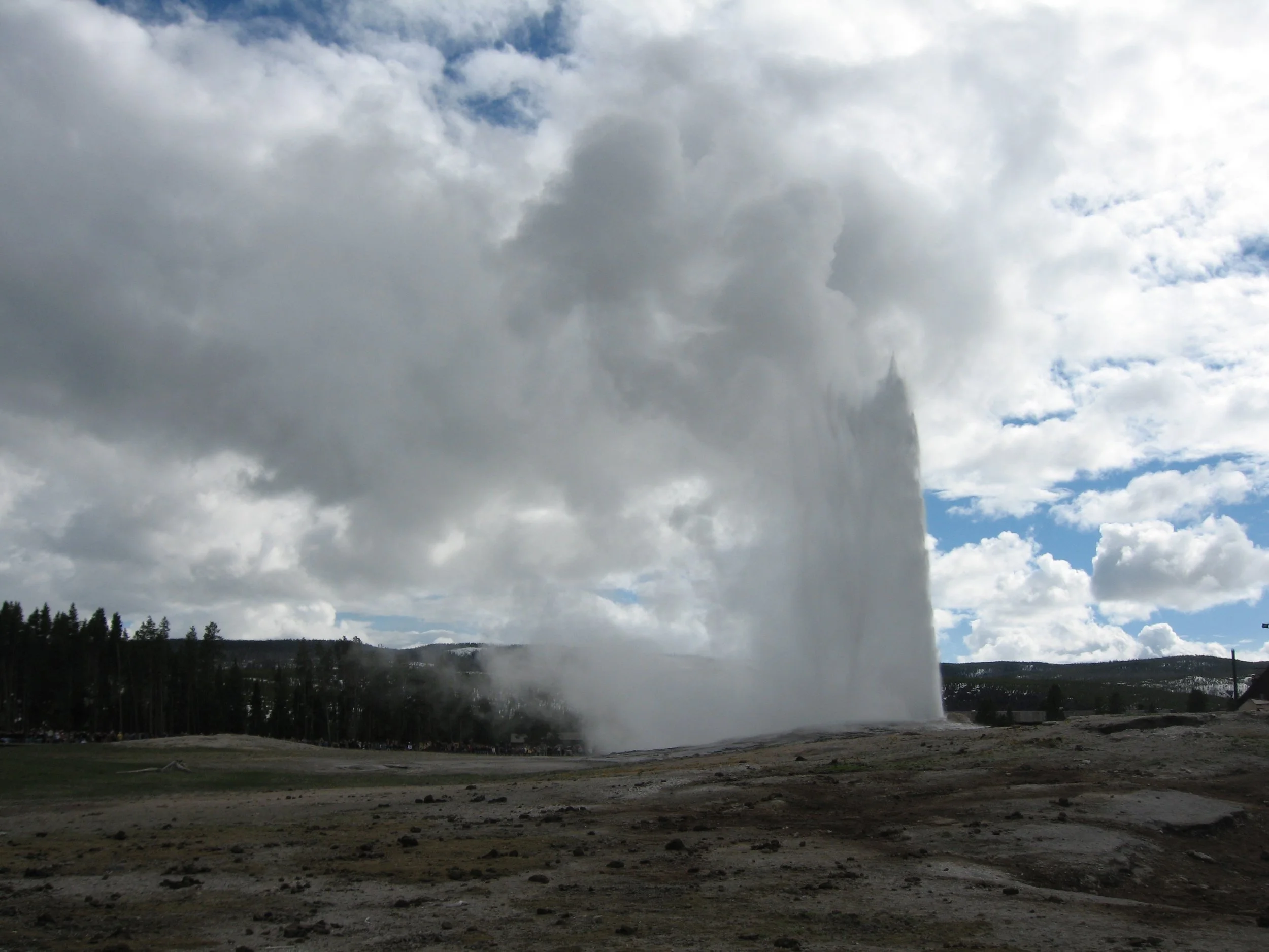 IMG_6947.JPG
