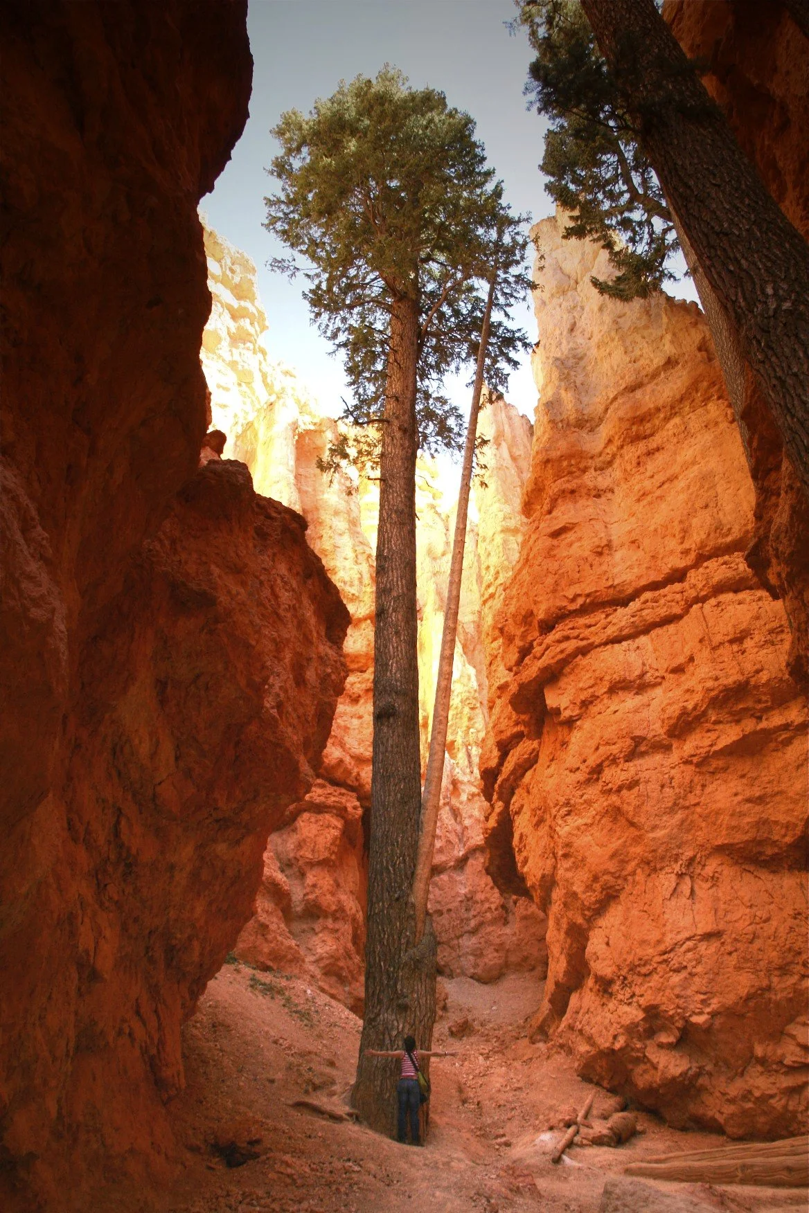 Bryce Canyon, Utah.jpg