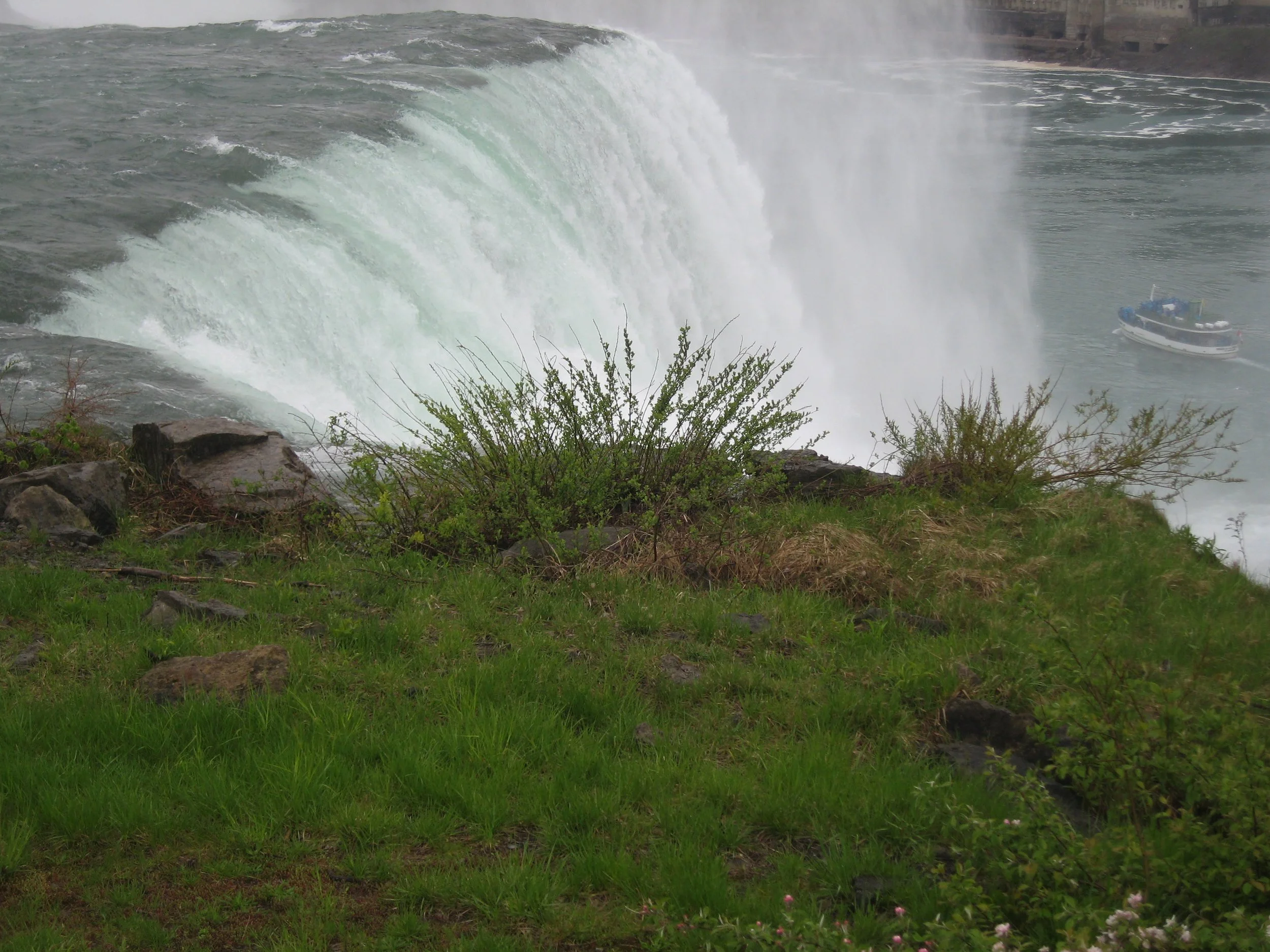 IMG_6746.JPG