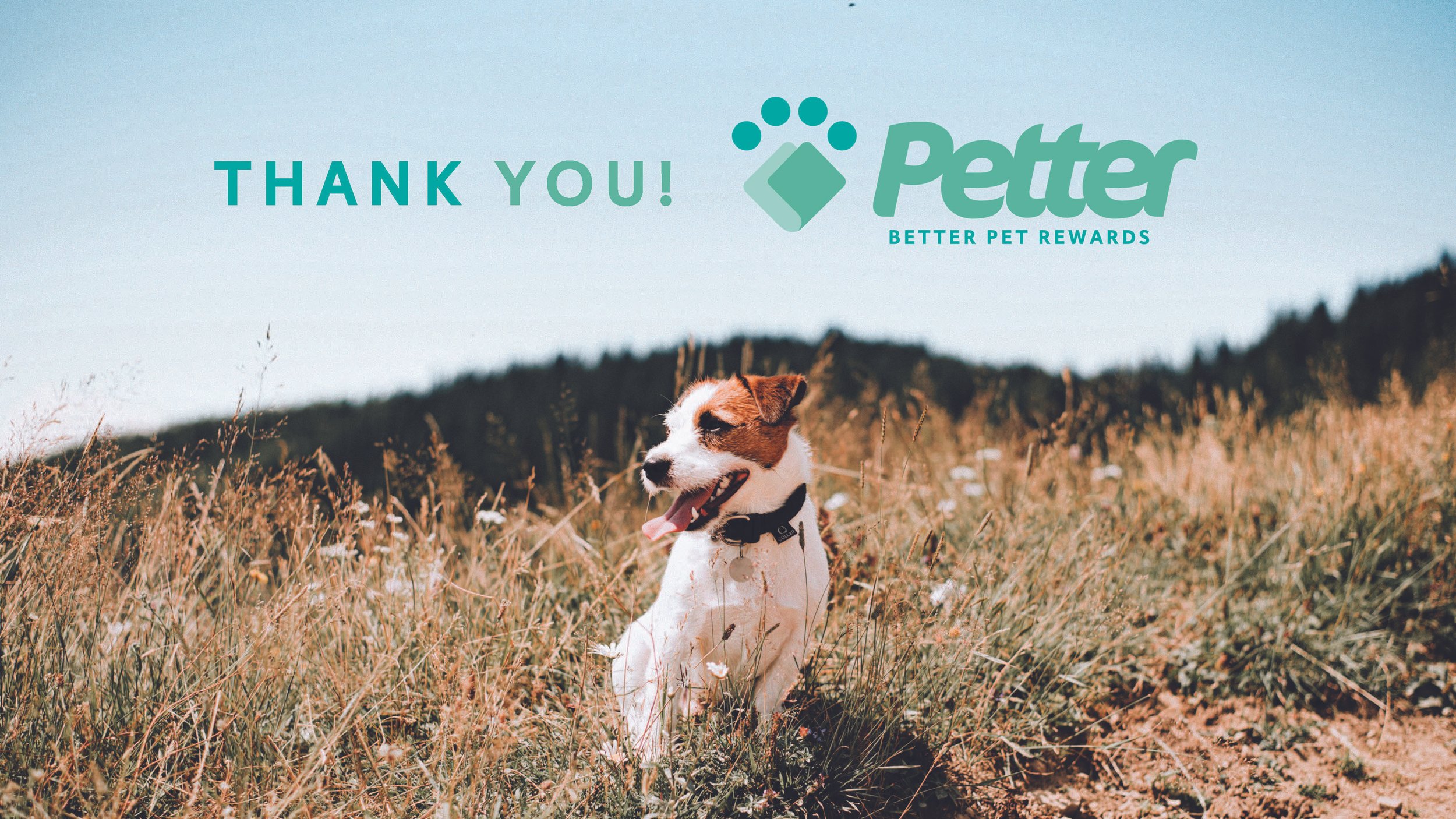 Petter Brand Deck_Page_17.jpg