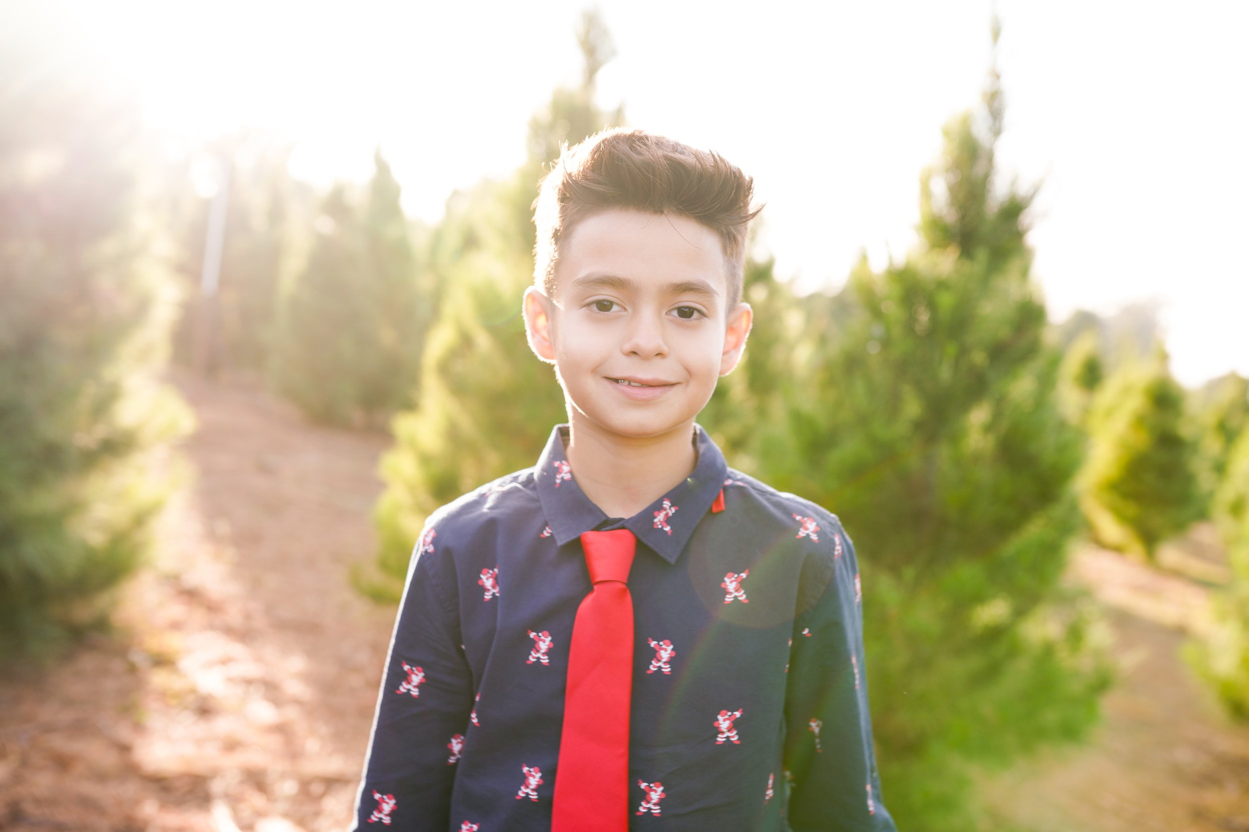 A cozy holiday session capturing a family's joy as they picked out their Christmas tree and placed the star on top. A beautiful moment of togetherness and new traditions—perfect for holiday family photography filled with warmth and cheer.