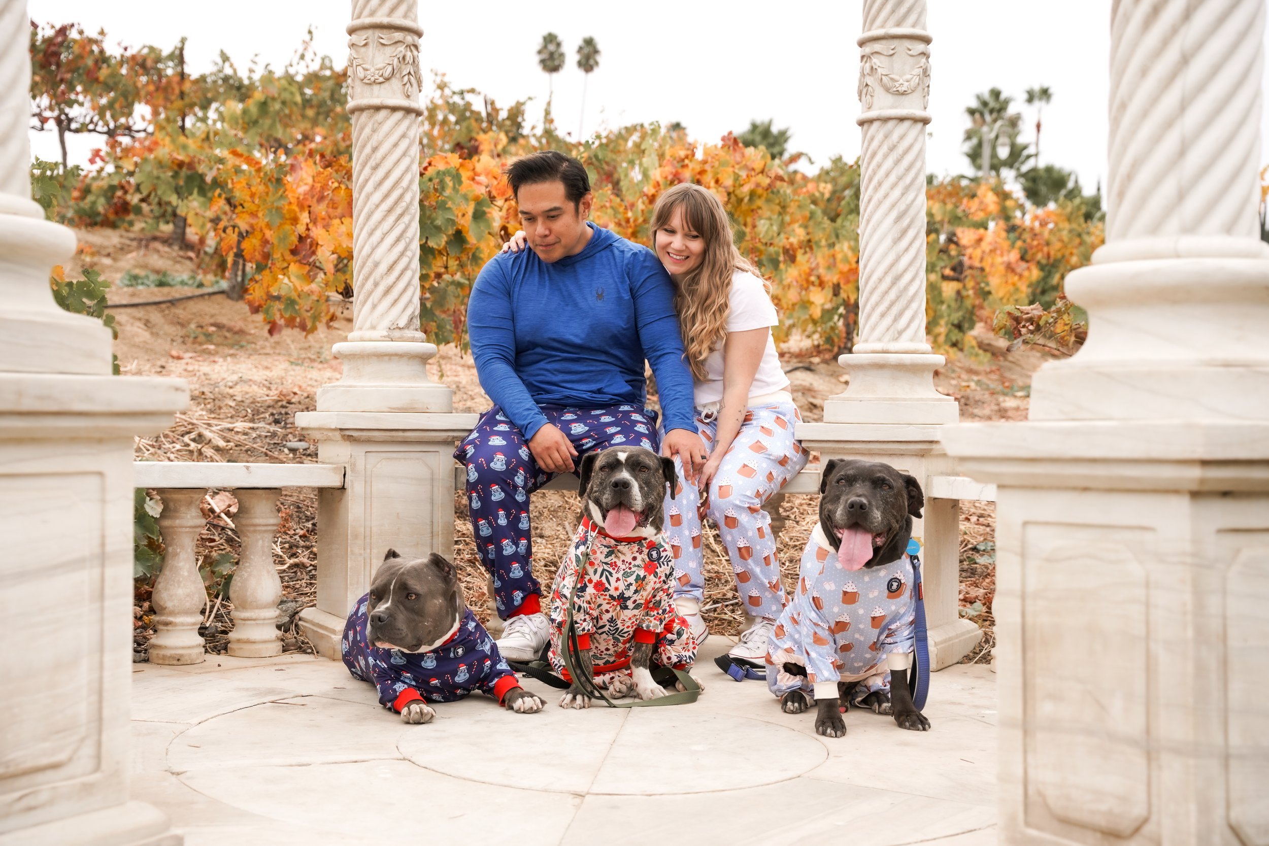 Holiday memories made at Europa Village Winery in Temecula! This beautiful family photoshoot featured cozy moments, vineyard charm, and their three adorable fur babies—capturing the joy of the season in one of Southern California’s most scenic wine c
