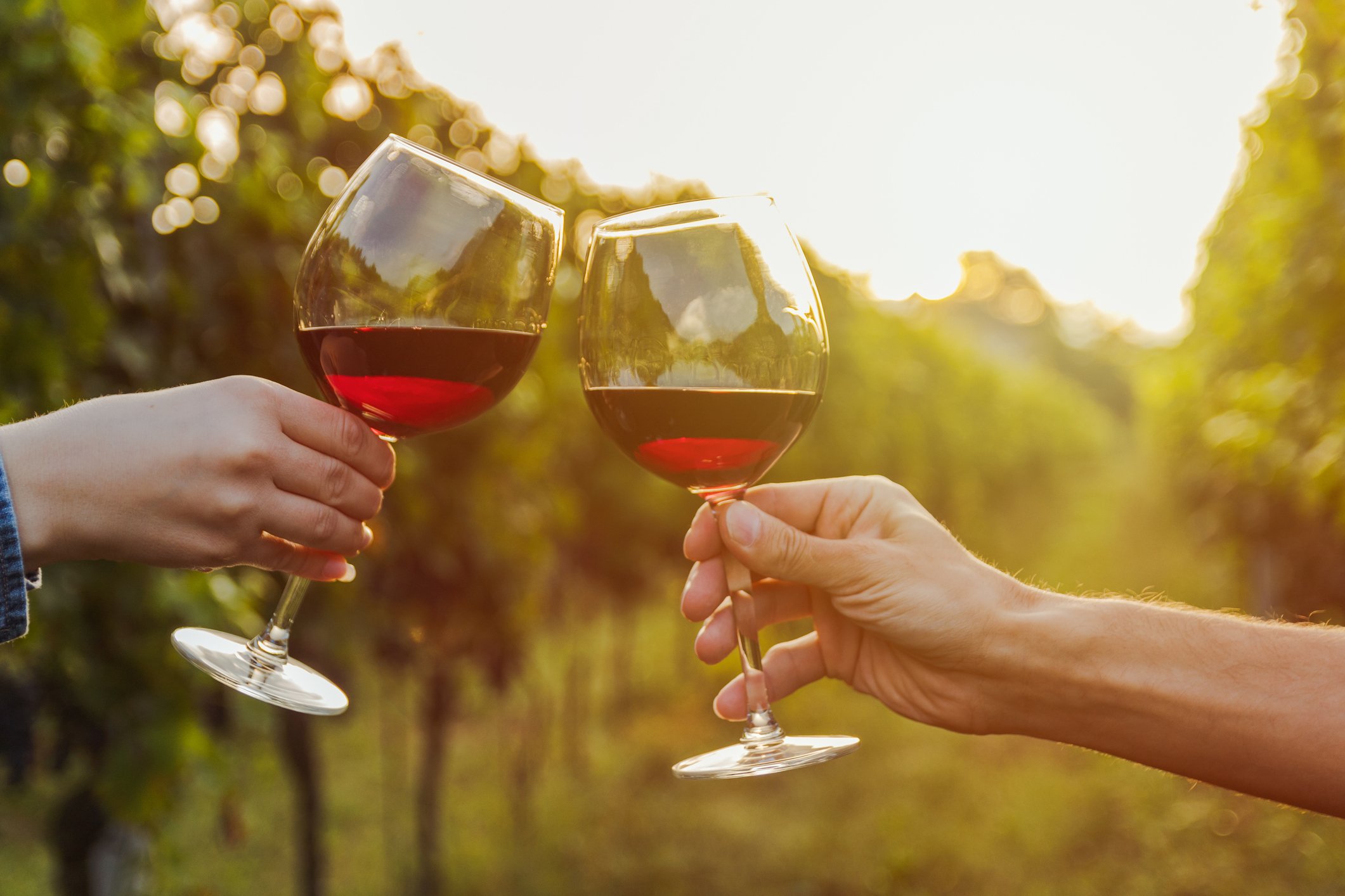 Two people toasting with wine glasses between vineyard rows in Temecula, surrounded by sunlight and grapevines—an unforgettable setting for a Mother’s Day shoot. Celebrate mom with a vineyard session—book today.