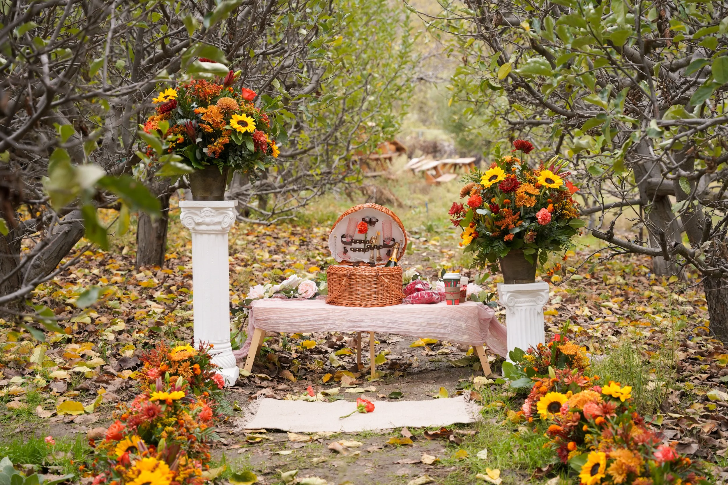 Boho Picnic Proposal Setup in Oak Glen | Floral Walkway Engagement