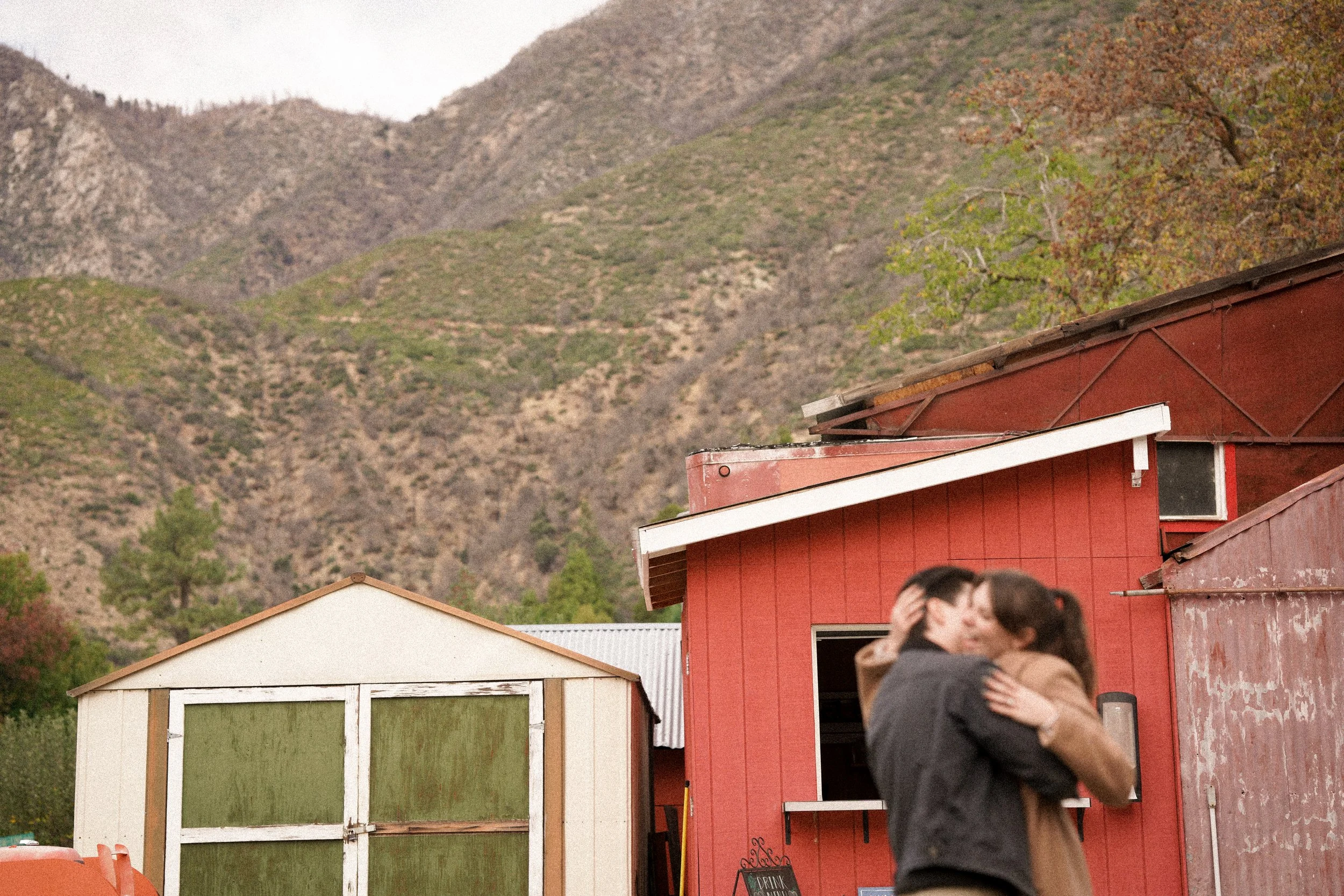 Romantic Oak Glen Orchard Yes Moment