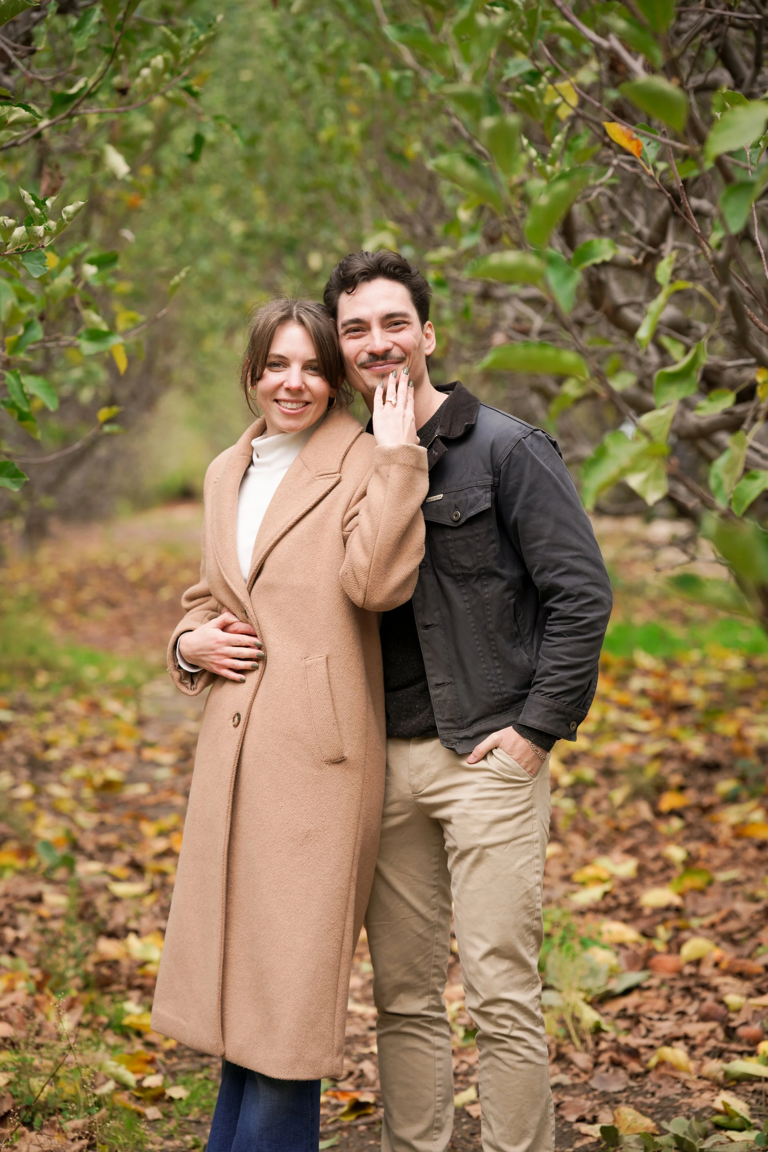 SoCal Orchard Proposal at Oak Glen