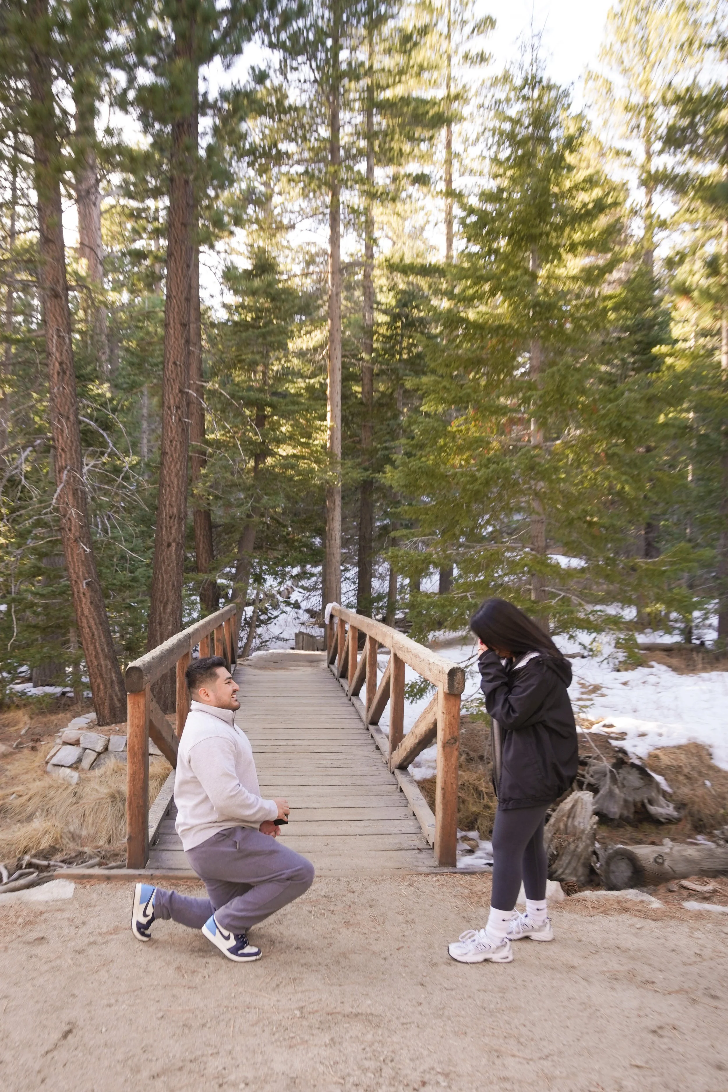 Palm Springs Aerial Tramway Surprise Proposal