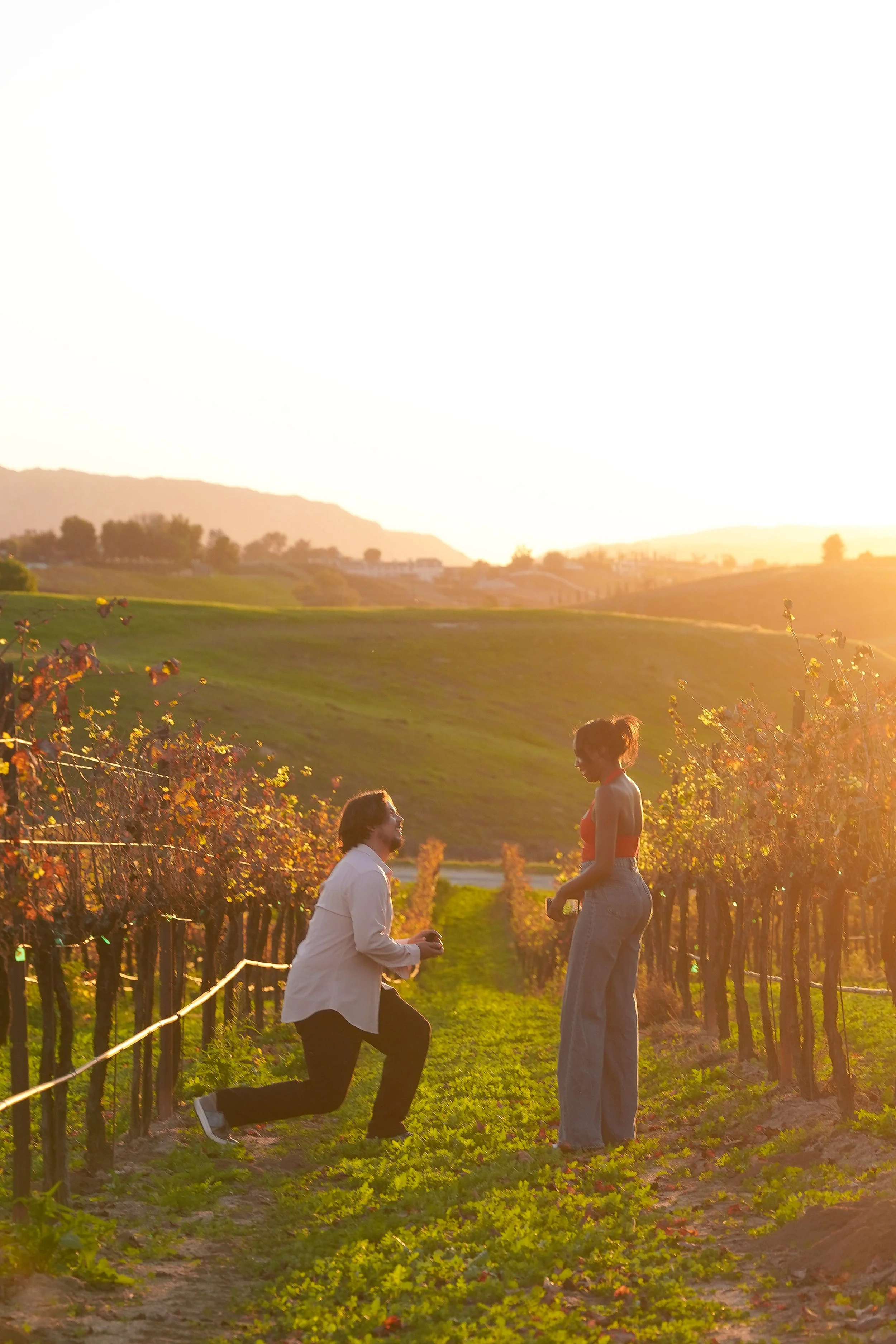 Sunset Surprise Proposal at Carter Estate Winery