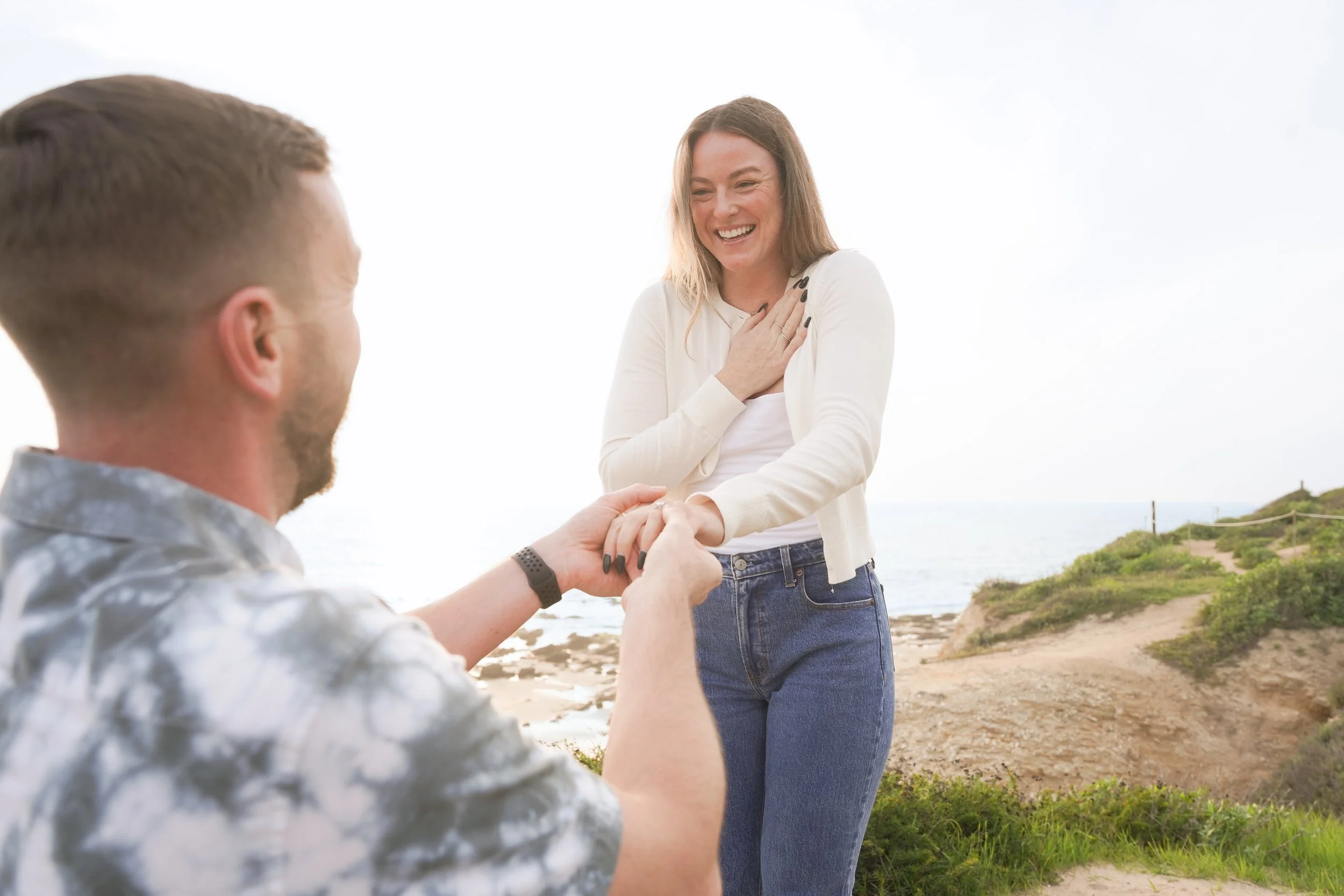 Crystal Cove Bluff Proposal Near Newport Beach