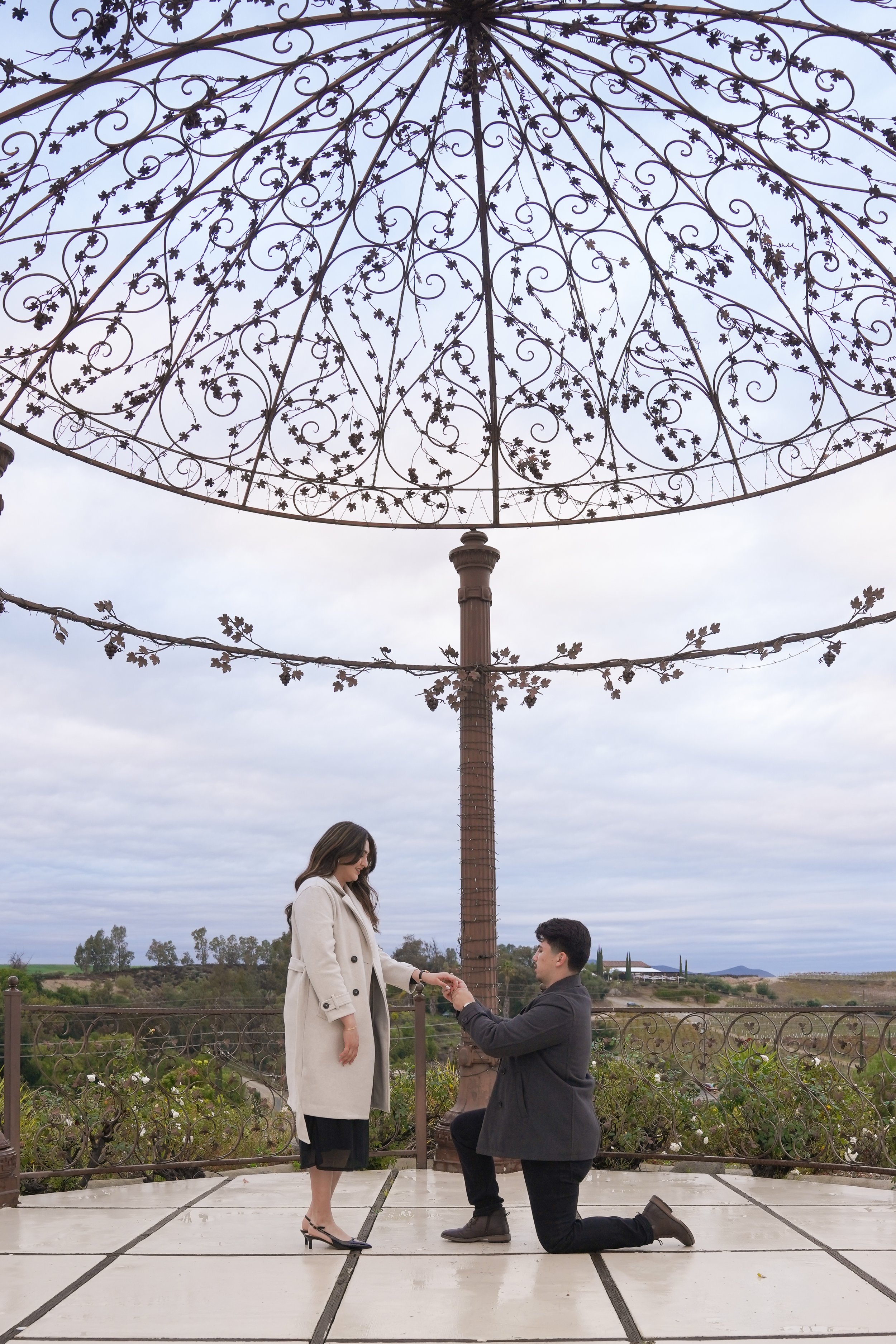 Churon Winery Surprise Proposal at the Gazebo