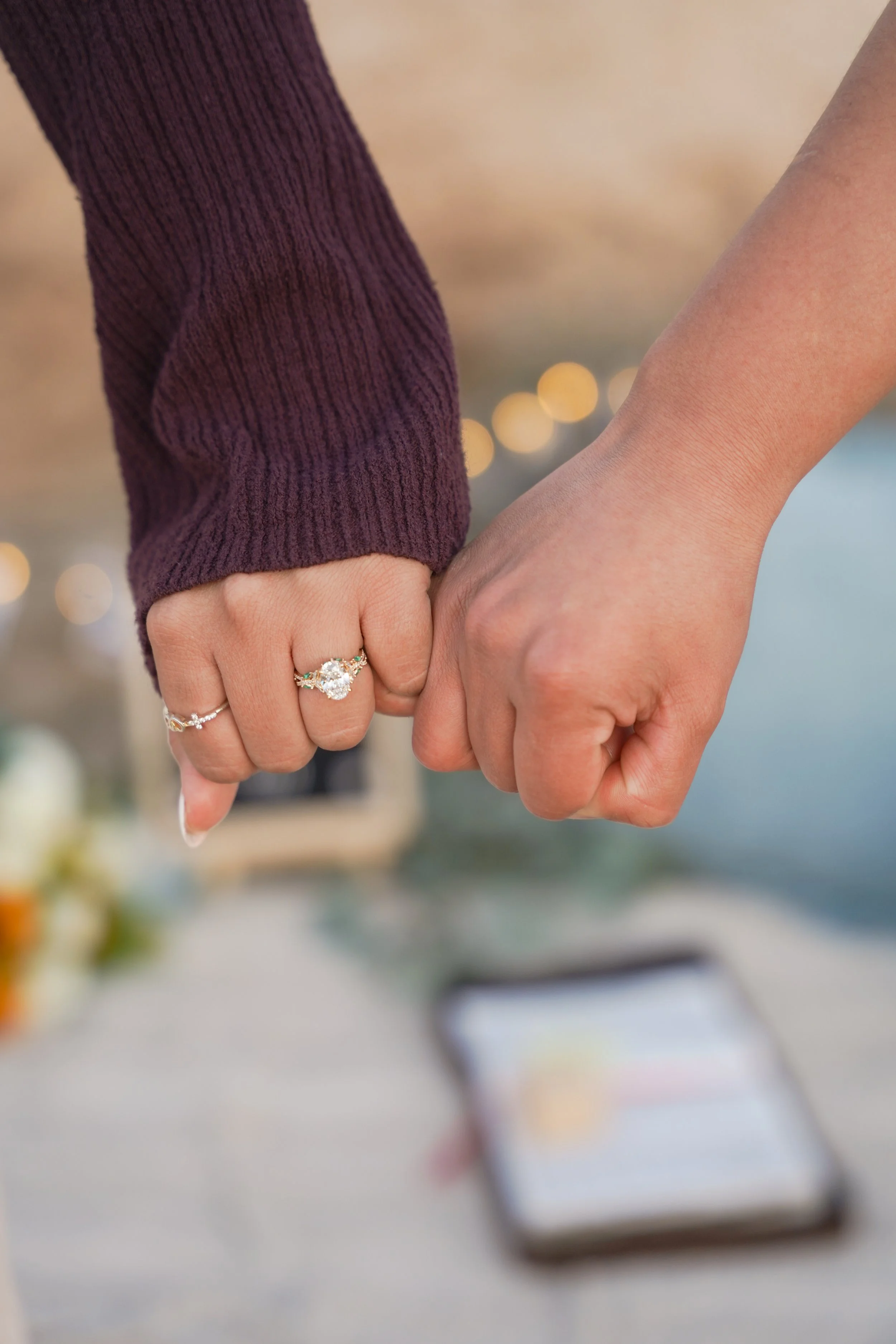 Post-Proposal Celebration at Joshua Tree National Park