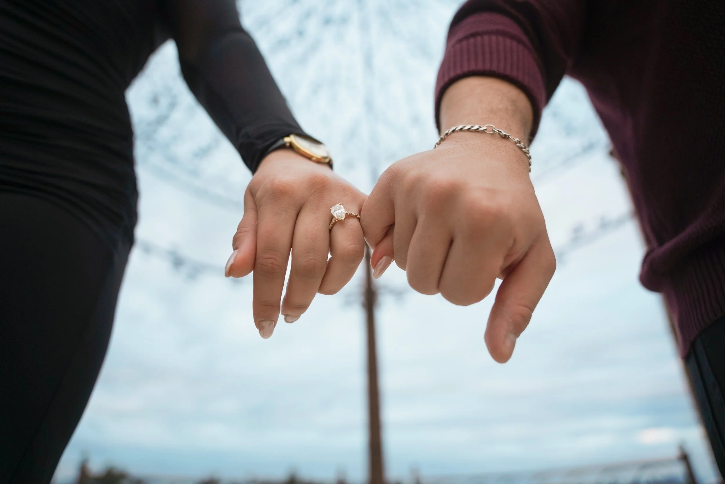 Wine Country Proposal in Temecula