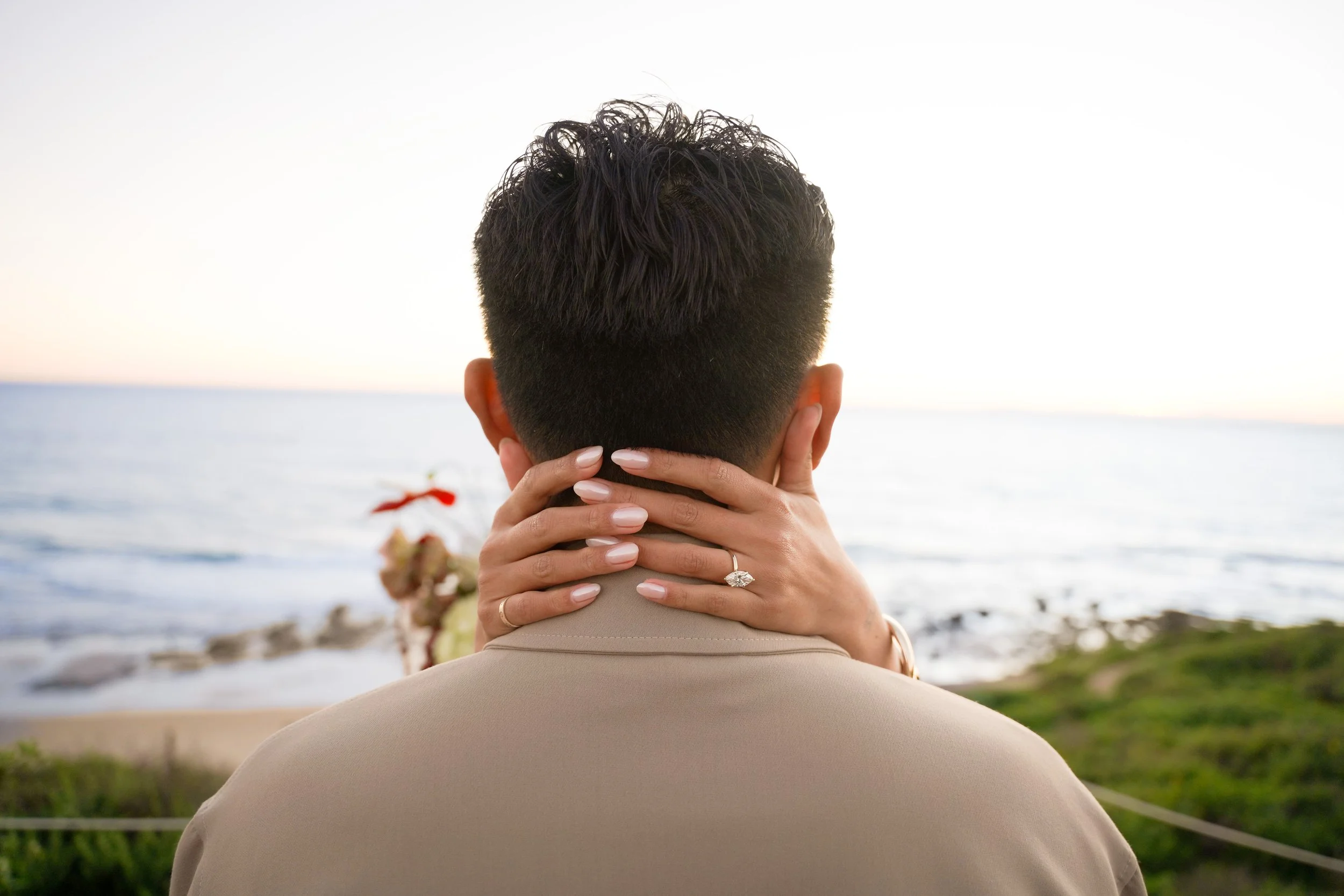 Pelican Point Overlook Surprise Proposal