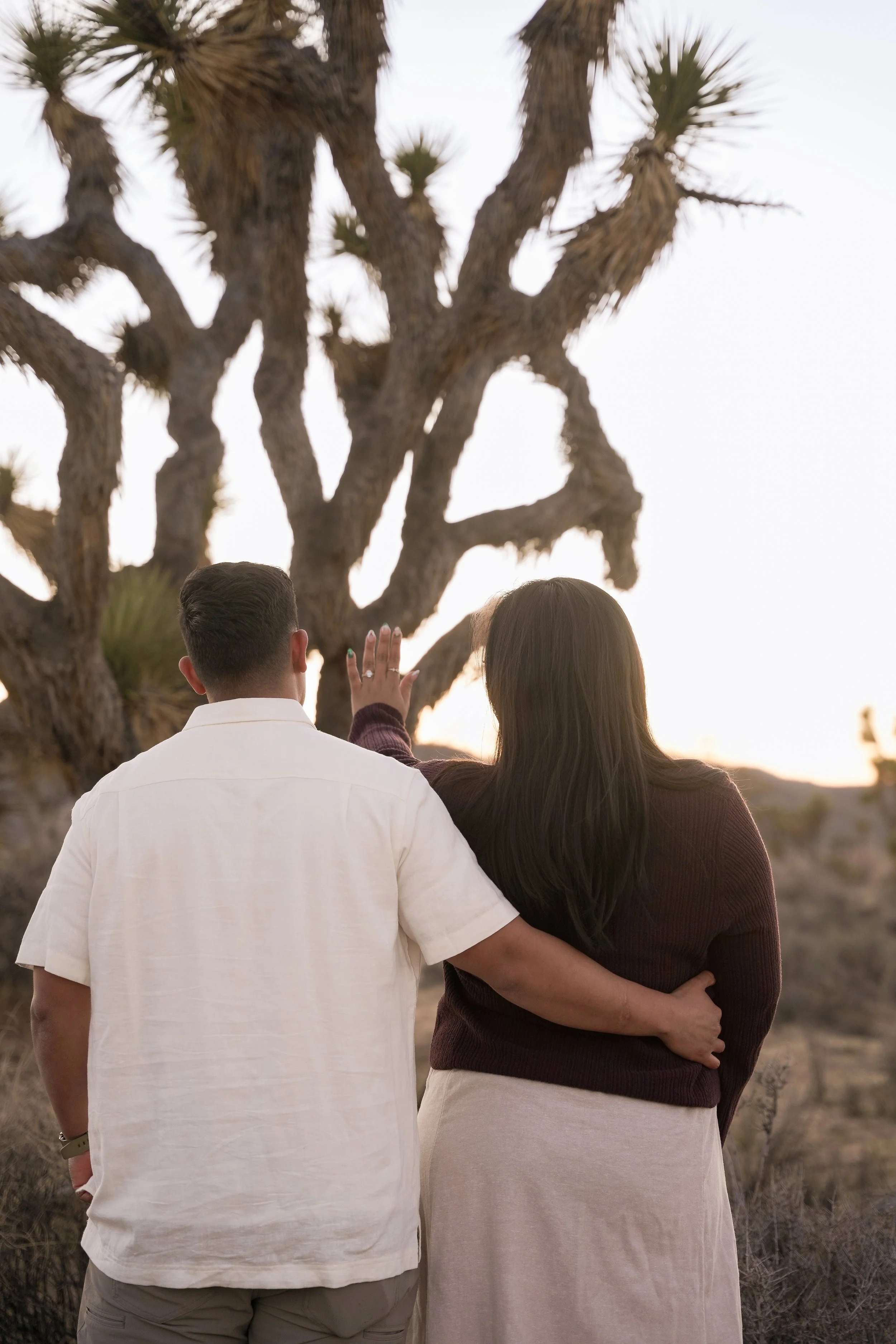 Joshua Tree Engagement Ring Reveal Landscape