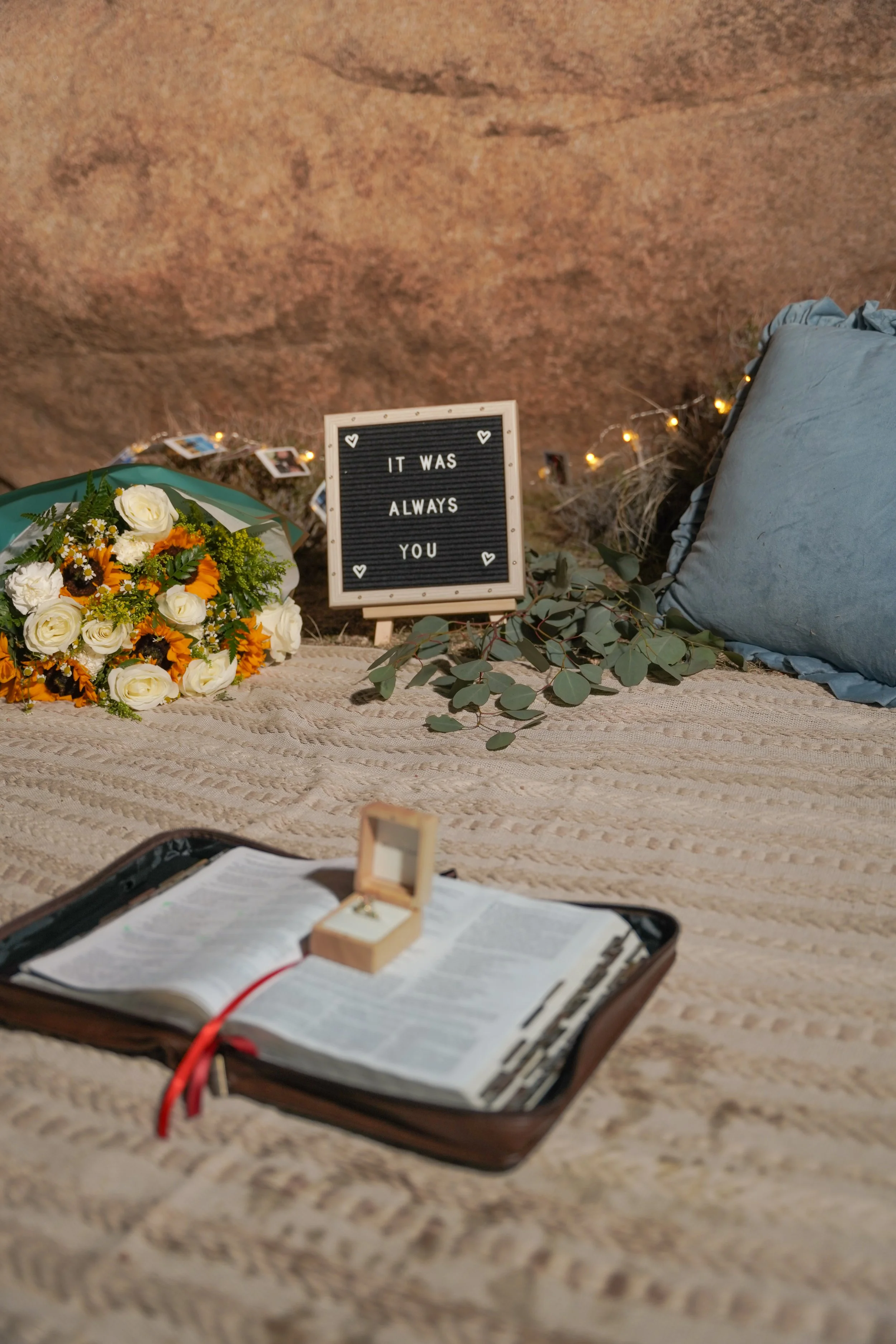 Joshua Tree Proposal Picnic Setup with Bible