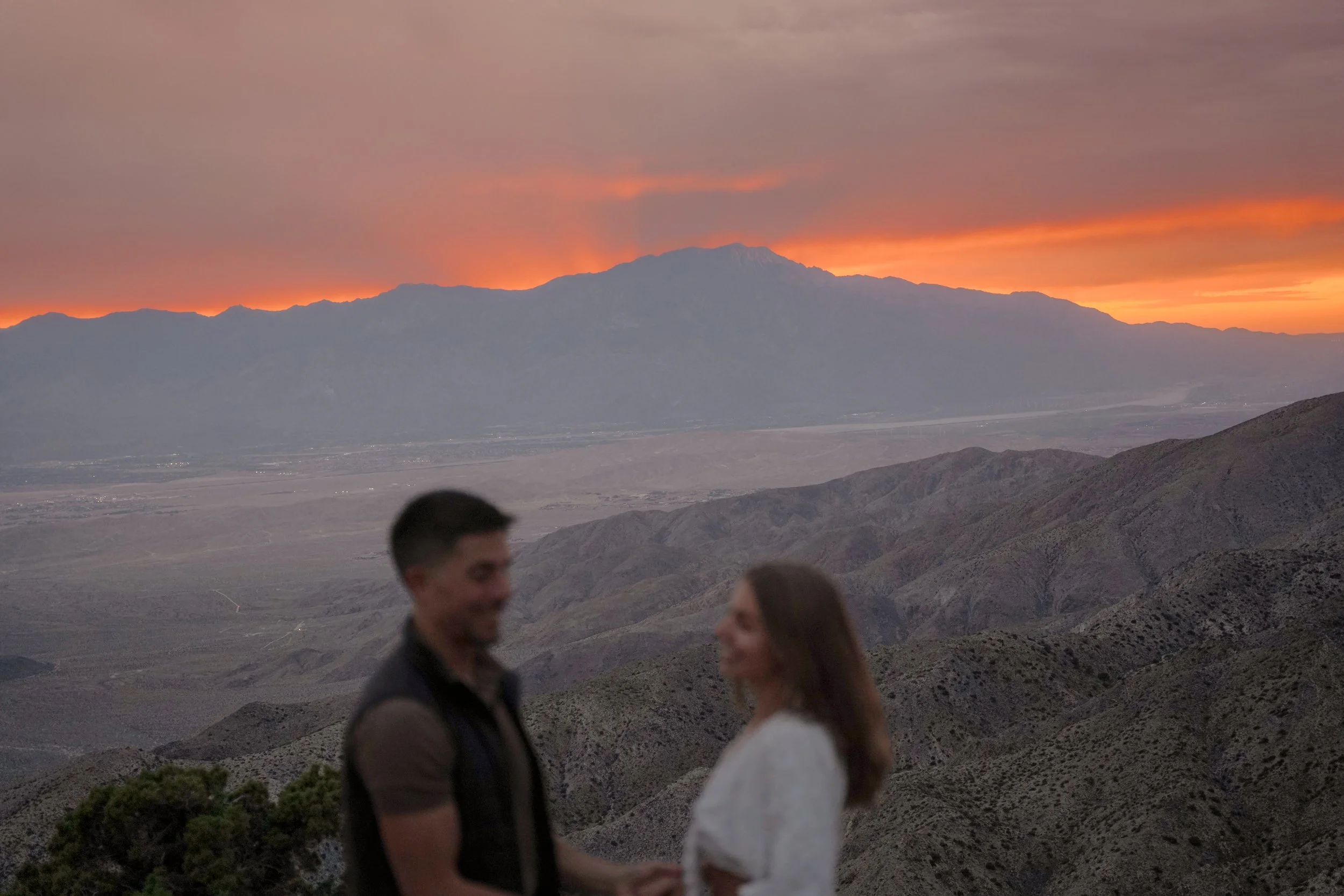 Joshua Tree Proposal at Dramatic Desert Sunset