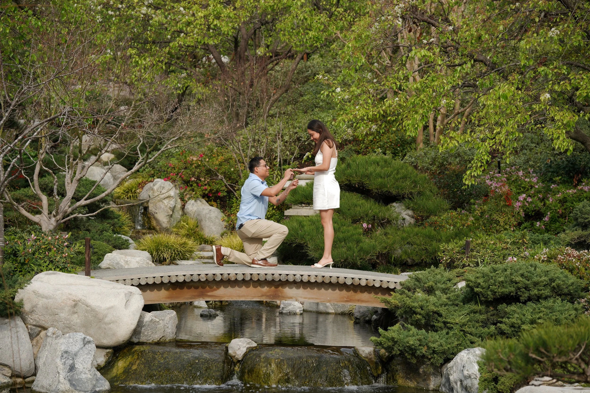 Japanese Friendship Garden Surprise Proposal at Balboa Park