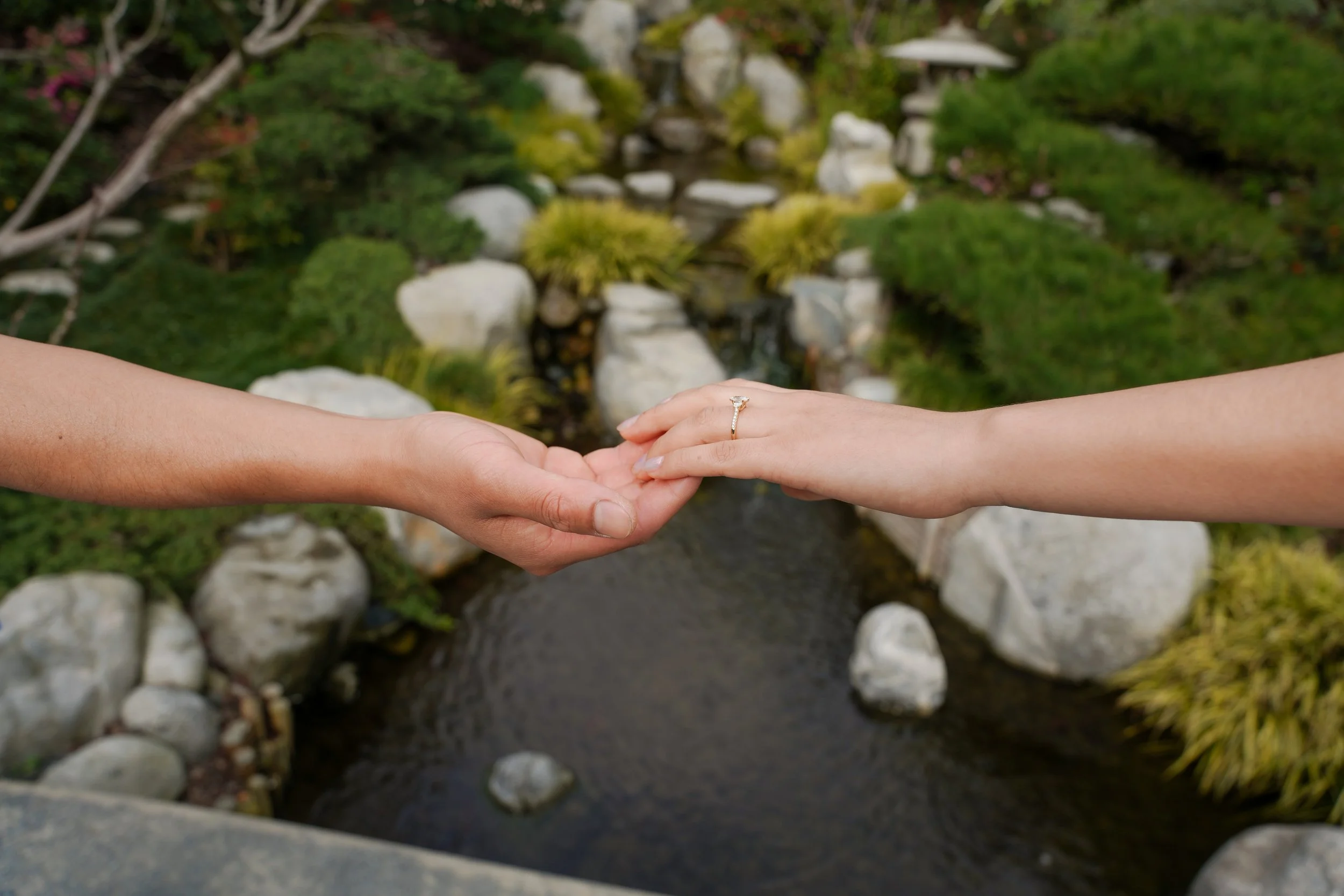 Romantic Proposal Moment at Japanese Friendship Garden in Balboa Park