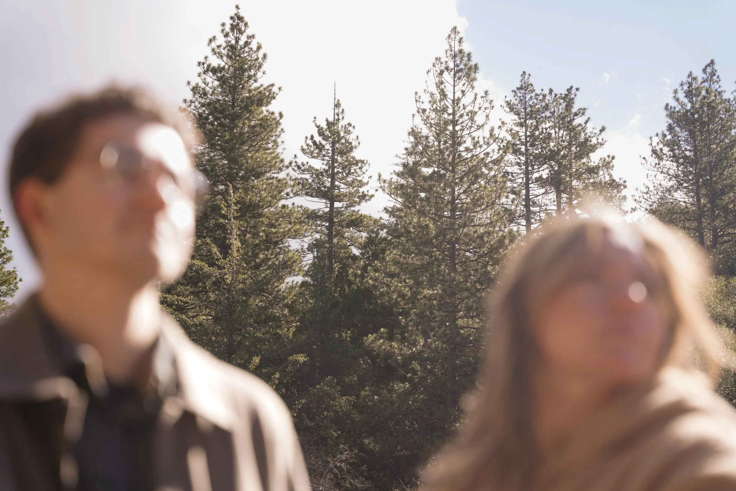 Lake Fulmor Surprise Proposal in Idyllwild Forest