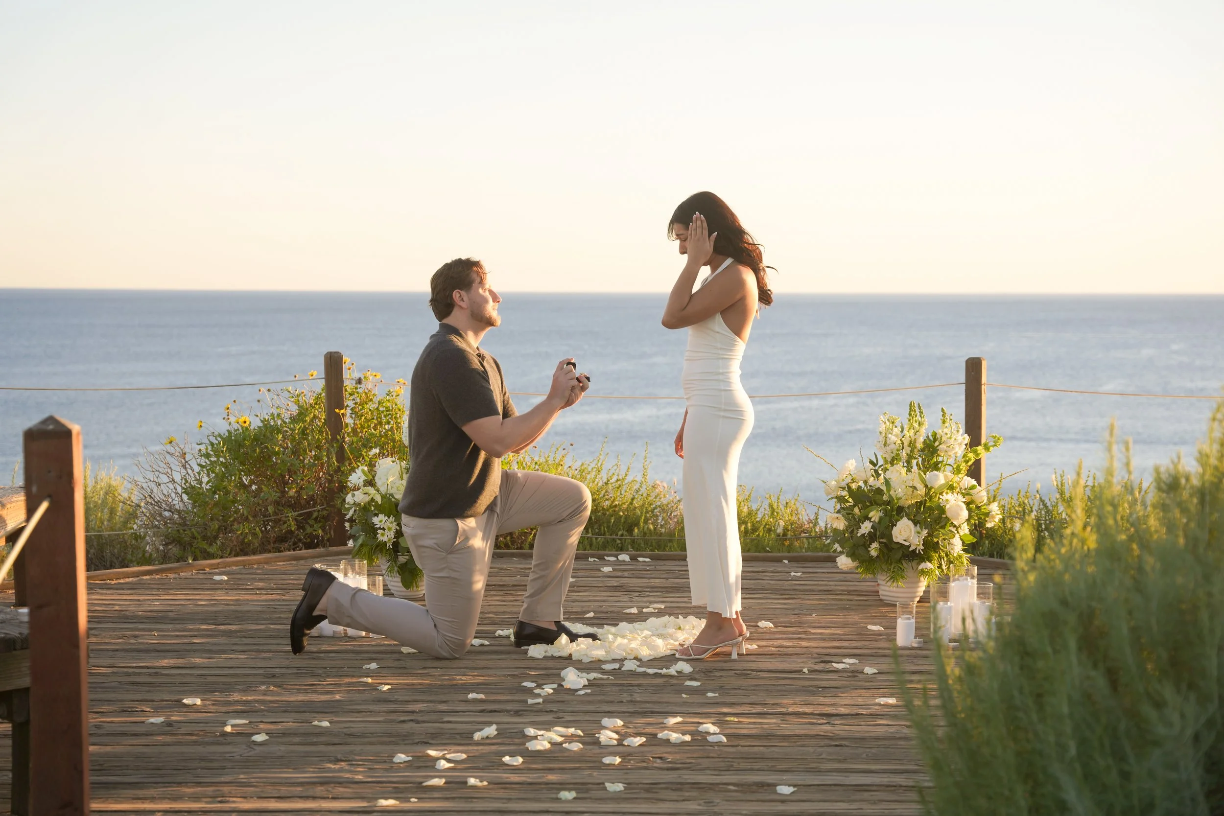 Crystal Cove Pelican Overlook Surprise Proposal