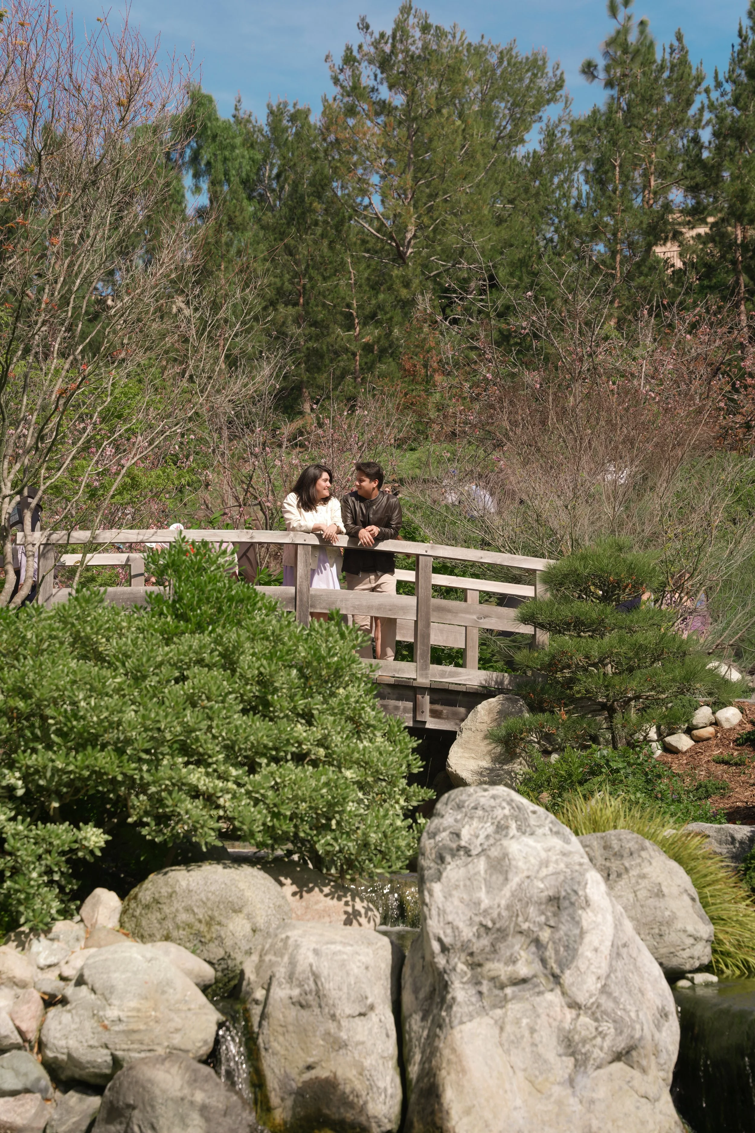 Intimate Proposal Moments at Japanese Friendship Garden San Diego