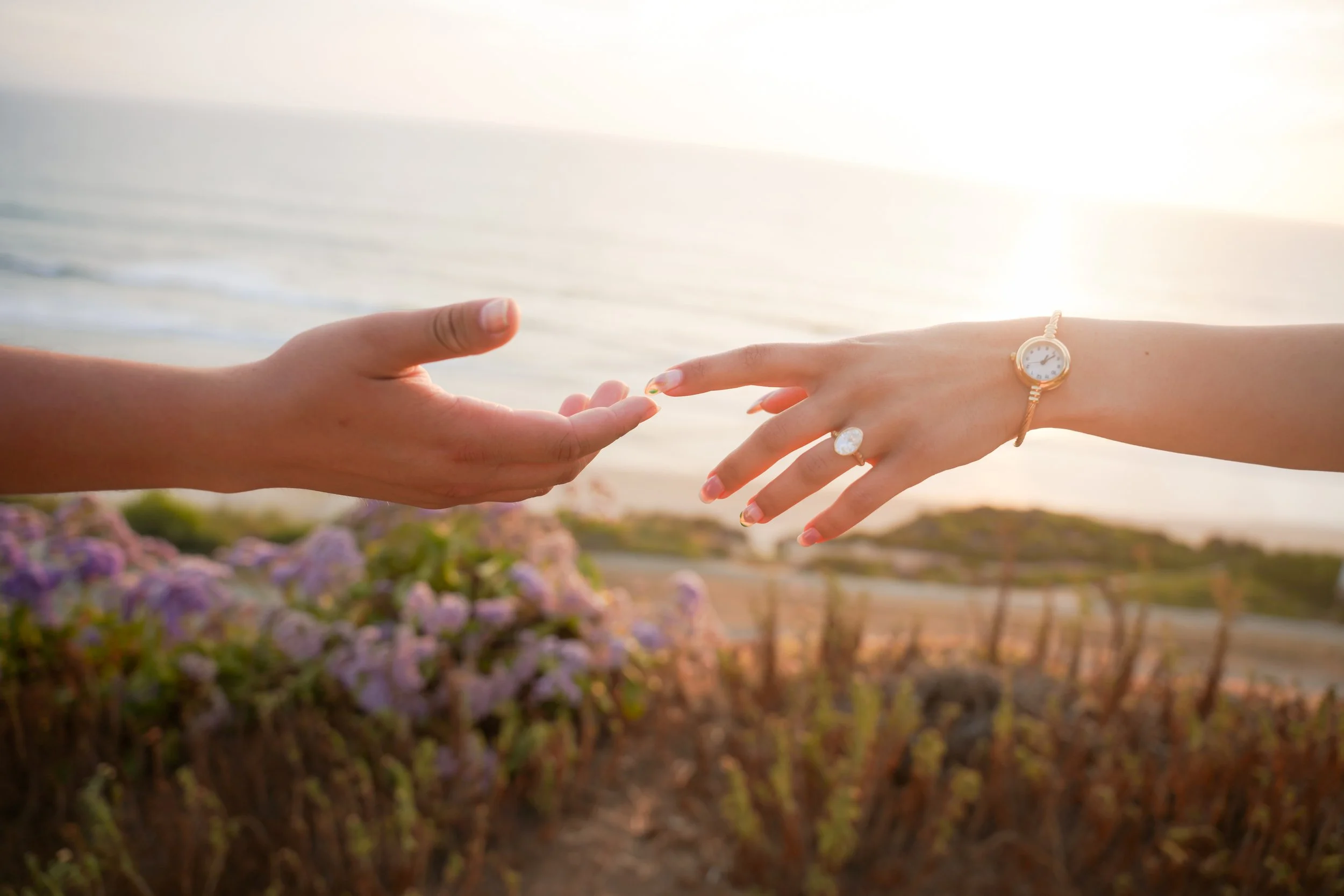 Torrey Pines Coastal Trail Surprise Proposal Photography San Diego