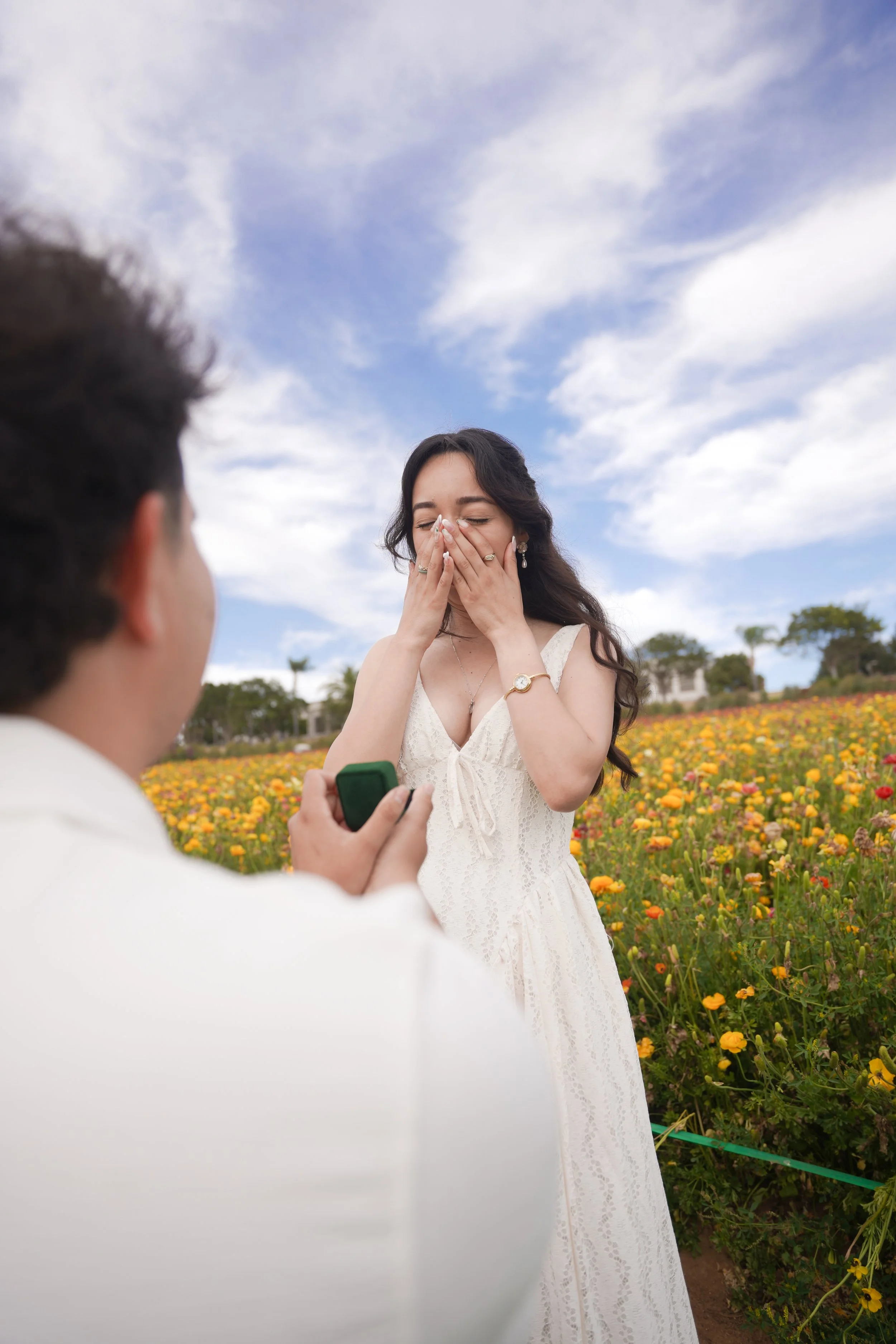 Romantic Proposal Photography in Open Field Setting