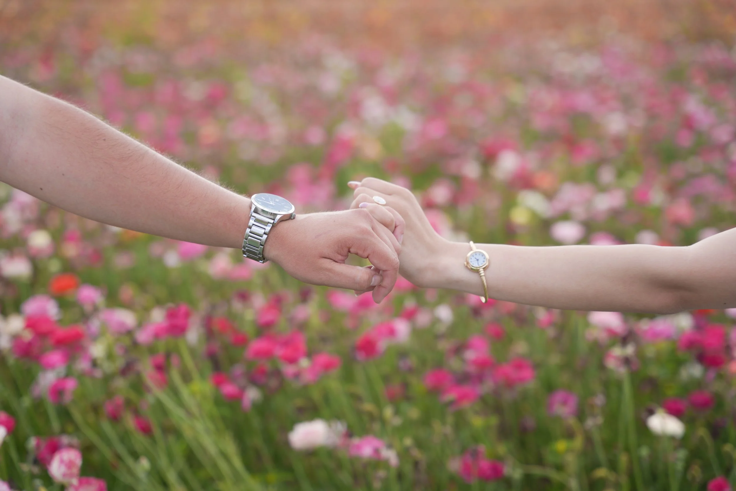 Outdoor Engagement Session After Surprise Proposal
