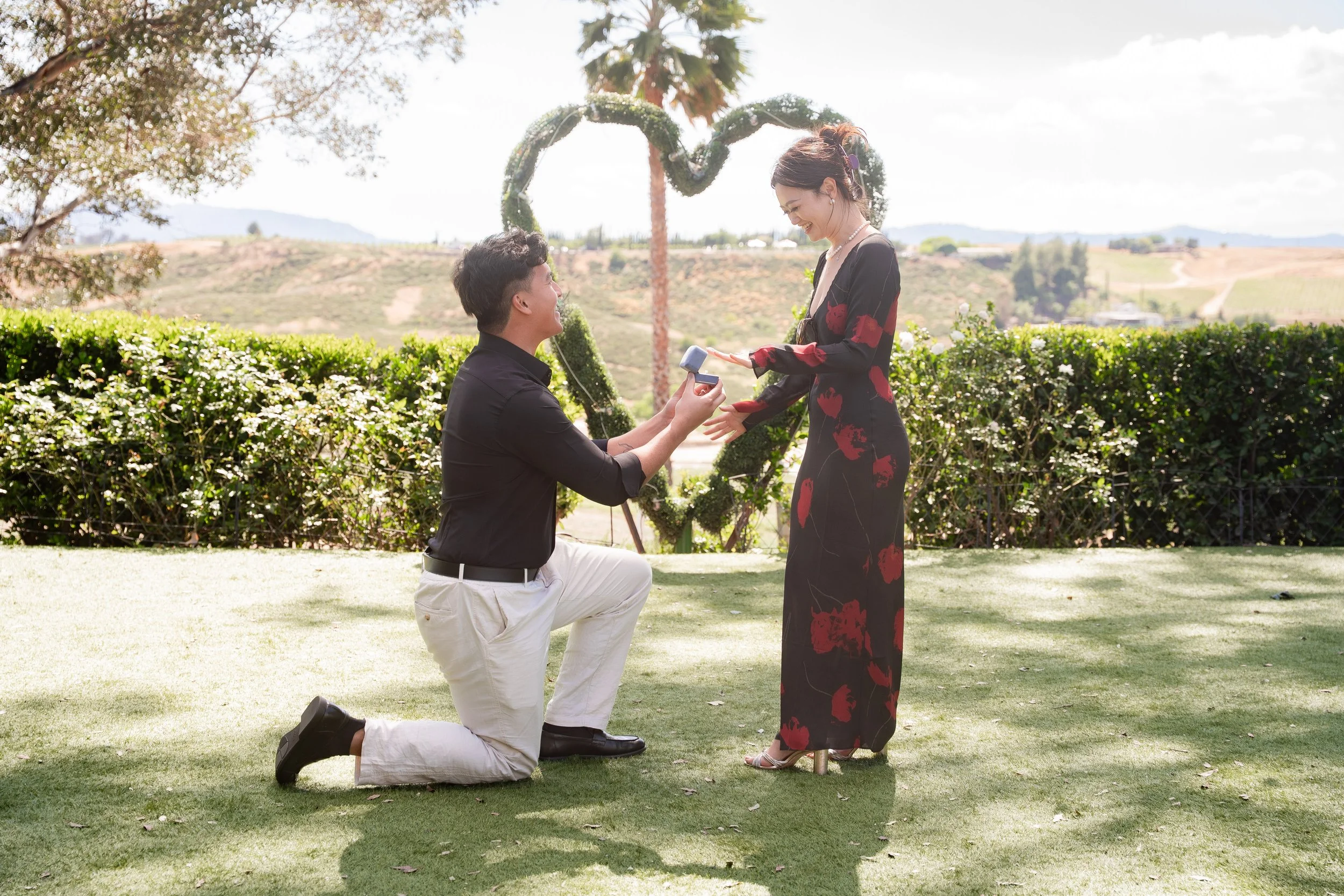 Surprise Proposal at Temecula Winery with Scenic Vineyard Backdrop