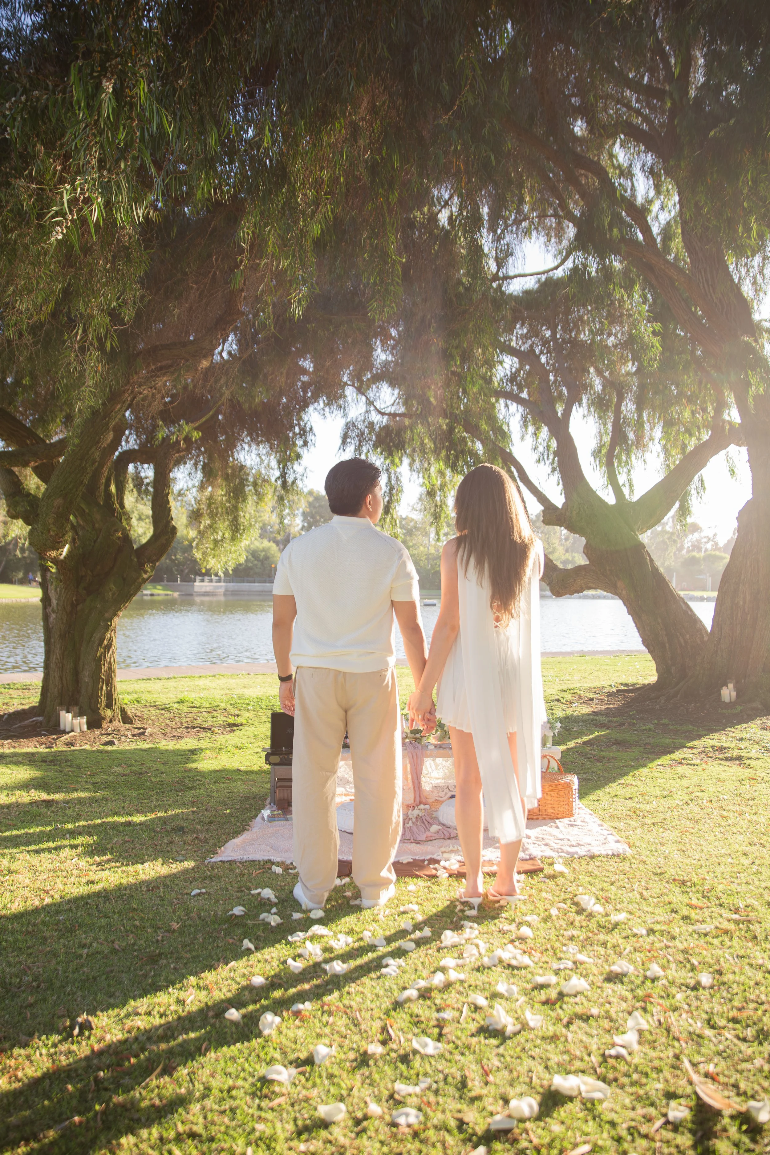 Sunset Picnic Proposal Beneath Willow Trees at Mason Regional Park