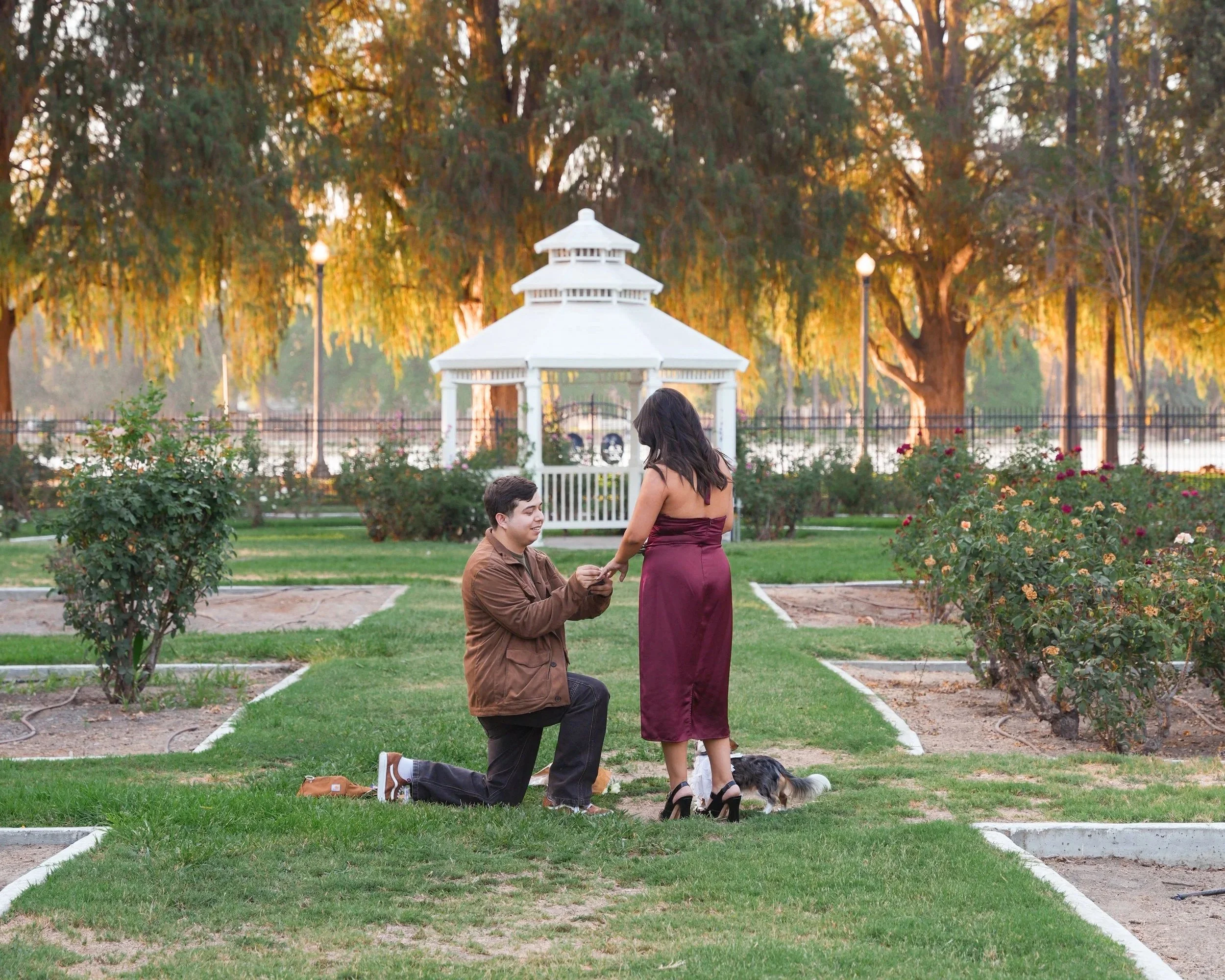 Sunset surprise proposal in front of the gazebo at Fairmount Park in Riverside, California, capturing the moment she said yes.  Click the image to see more of our Riverside proposal photography and real love stories.